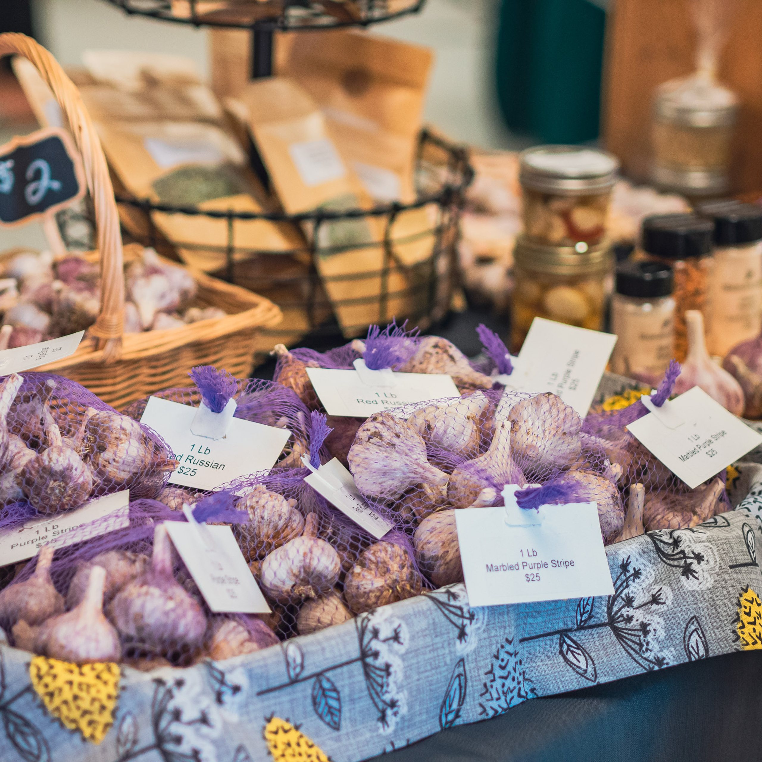 Rolly View Culture Days festival — Sep 17 2022. Dimitri Ilkov Photography — Capturing Life’s Moments in Edmonton, Cana