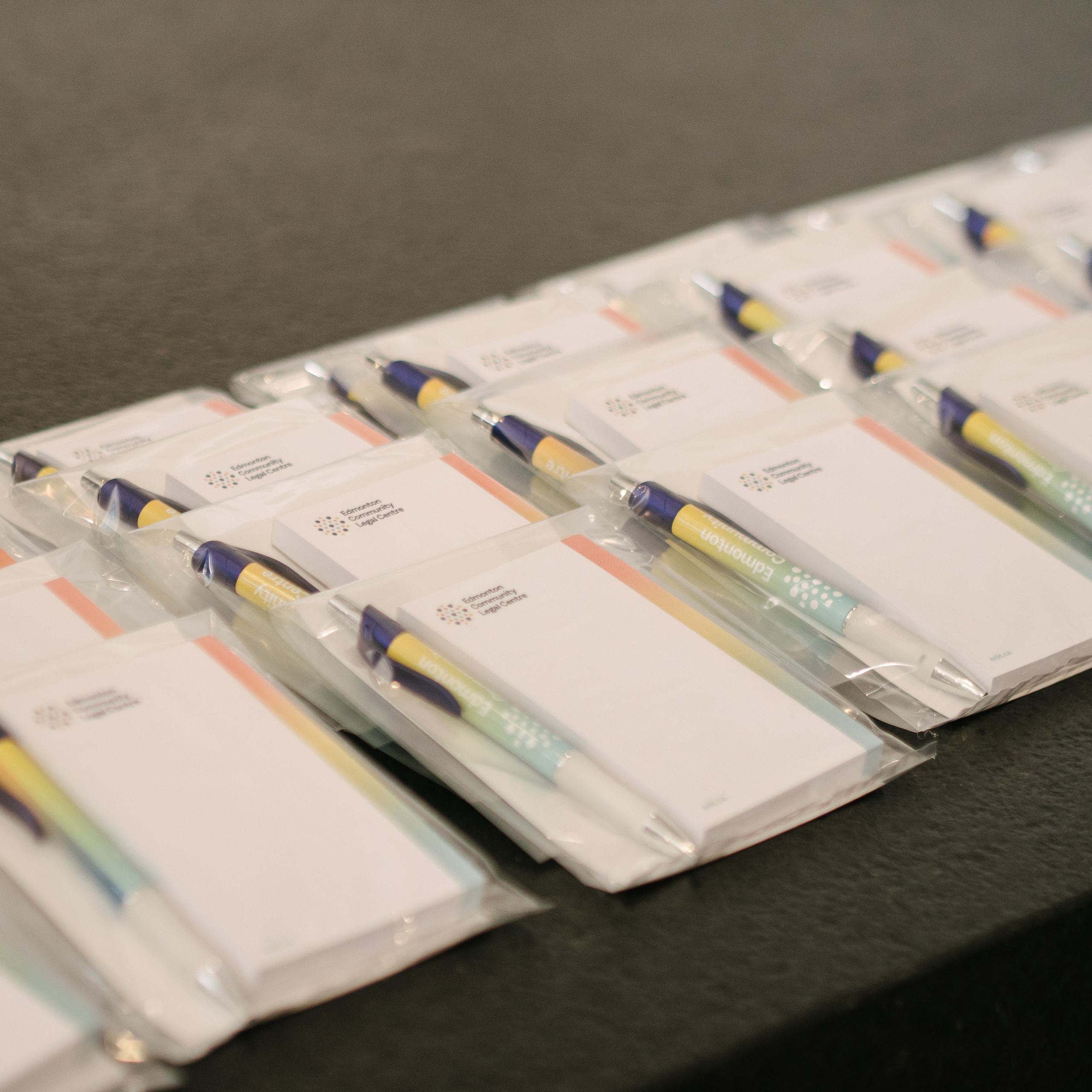 Stepping Forward with Edmonton Community Legal Centre March 16, 2023. Dimitri Ilkov Photography — Capturing Life’s Moments in Edmonton, Cana