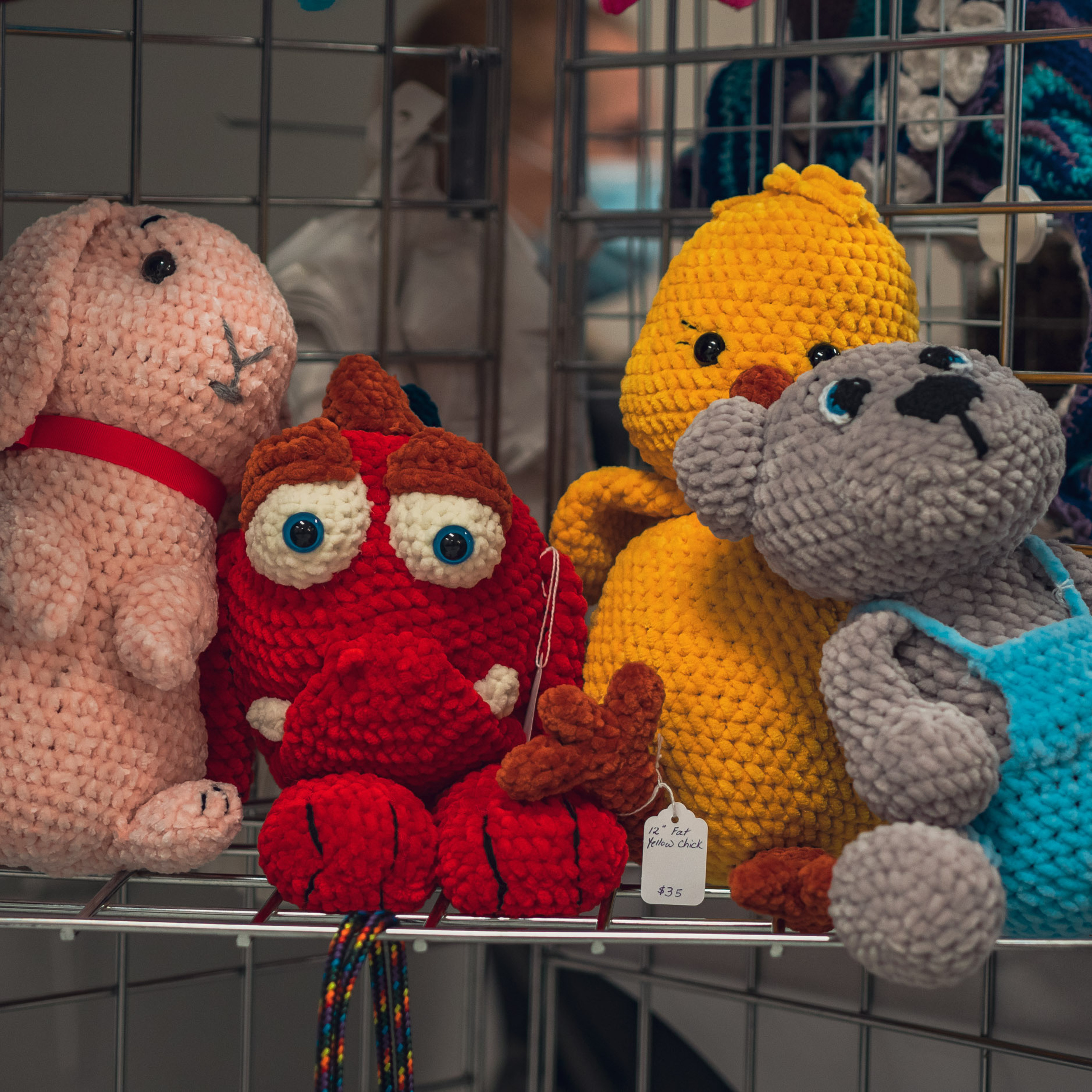 Rolly View Culture Days festival — Sep 17 2022. Dimitri Ilkov Photography — Capturing Life’s Moments in Edmonton, Cana