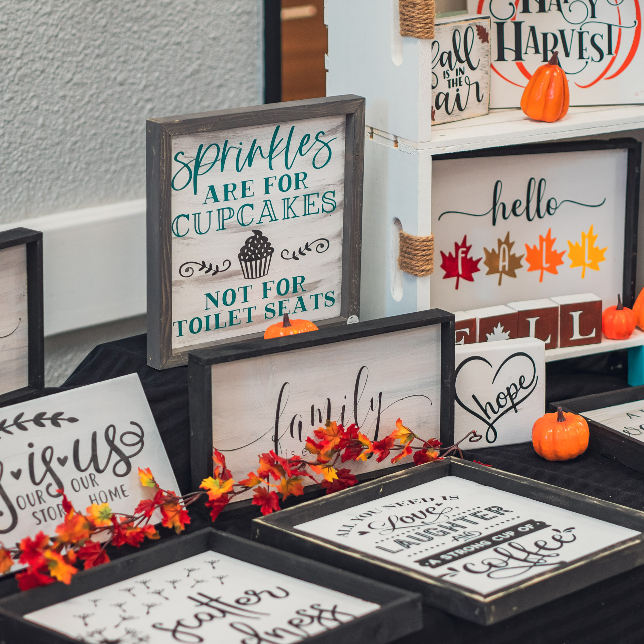 Rolly View Culture Days festival — Sep 17 2022. Dimitri Ilkov Photography — Capturing Life’s Moments in Edmonton, Cana