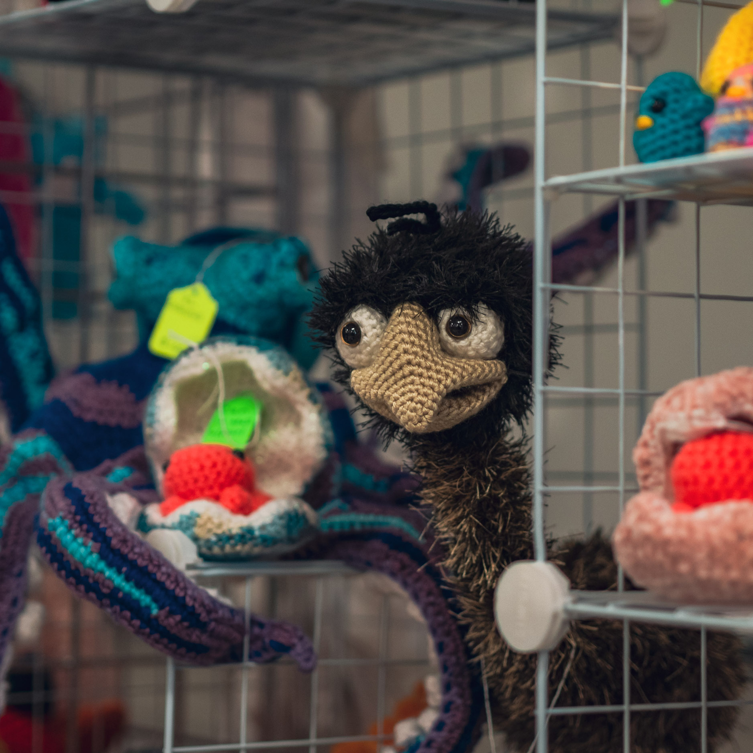 Rolly View Culture Days festival — Sep 17 2022. Dimitri Ilkov Photography — Capturing Life’s Moments in Edmonton, Cana