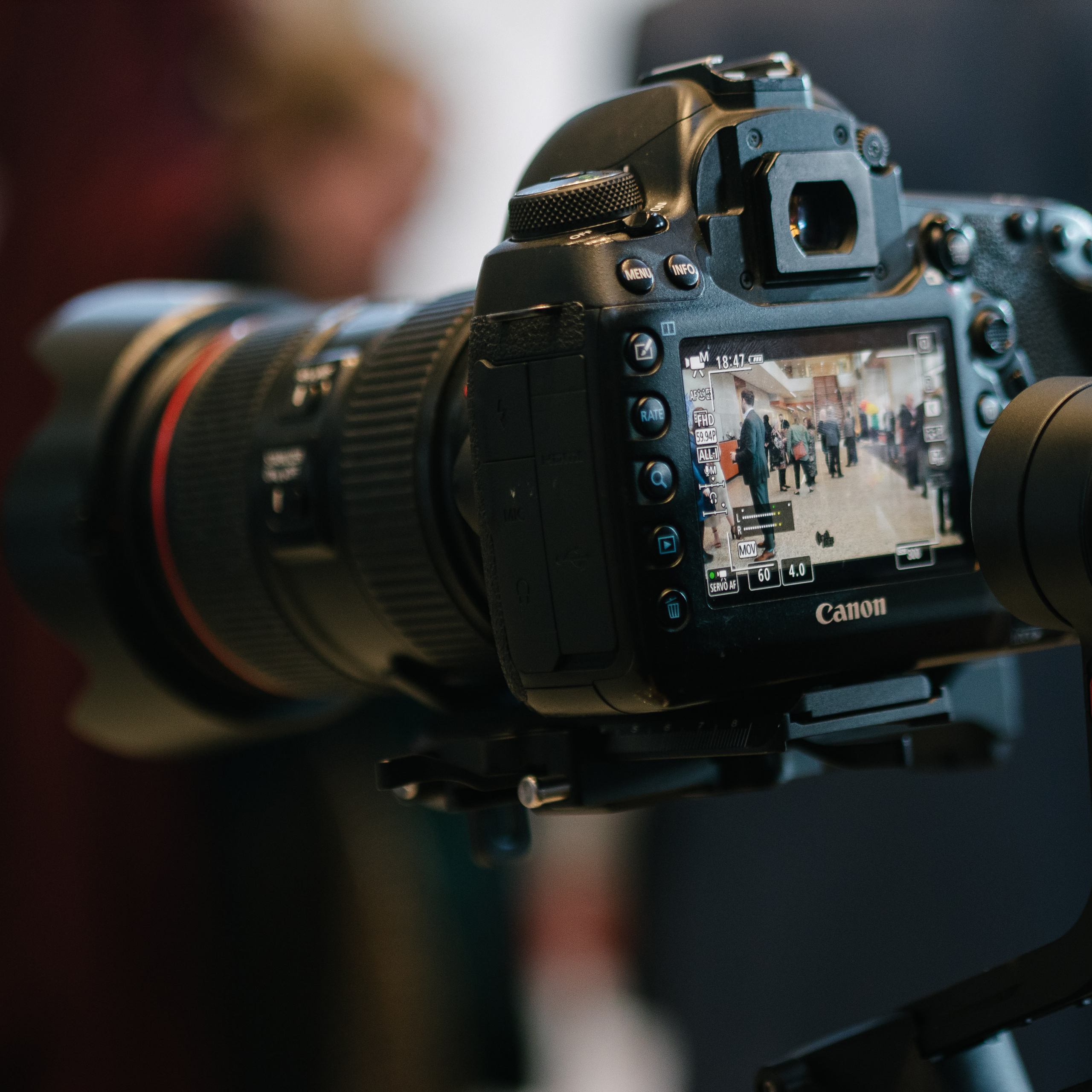Stepping Forward with Edmonton Community Legal Centre March 16, 2023. Dimitri Ilkov Photography — Capturing Life’s Moments in Edmonton, Cana