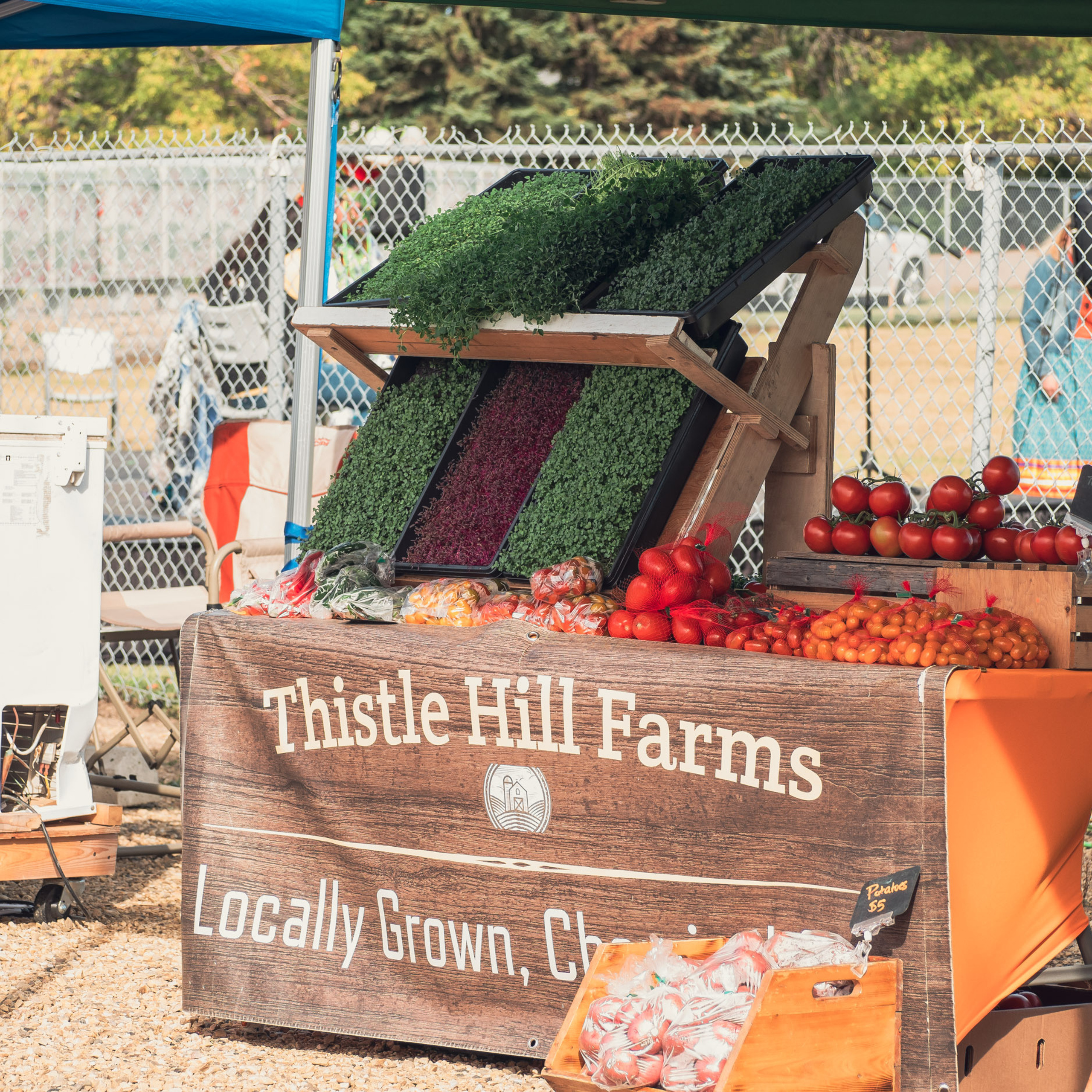 Rolly View Culture Days festival — Sep 17 2022. Dimitri Ilkov Photography — Capturing Life’s Moments in Edmonton, Cana