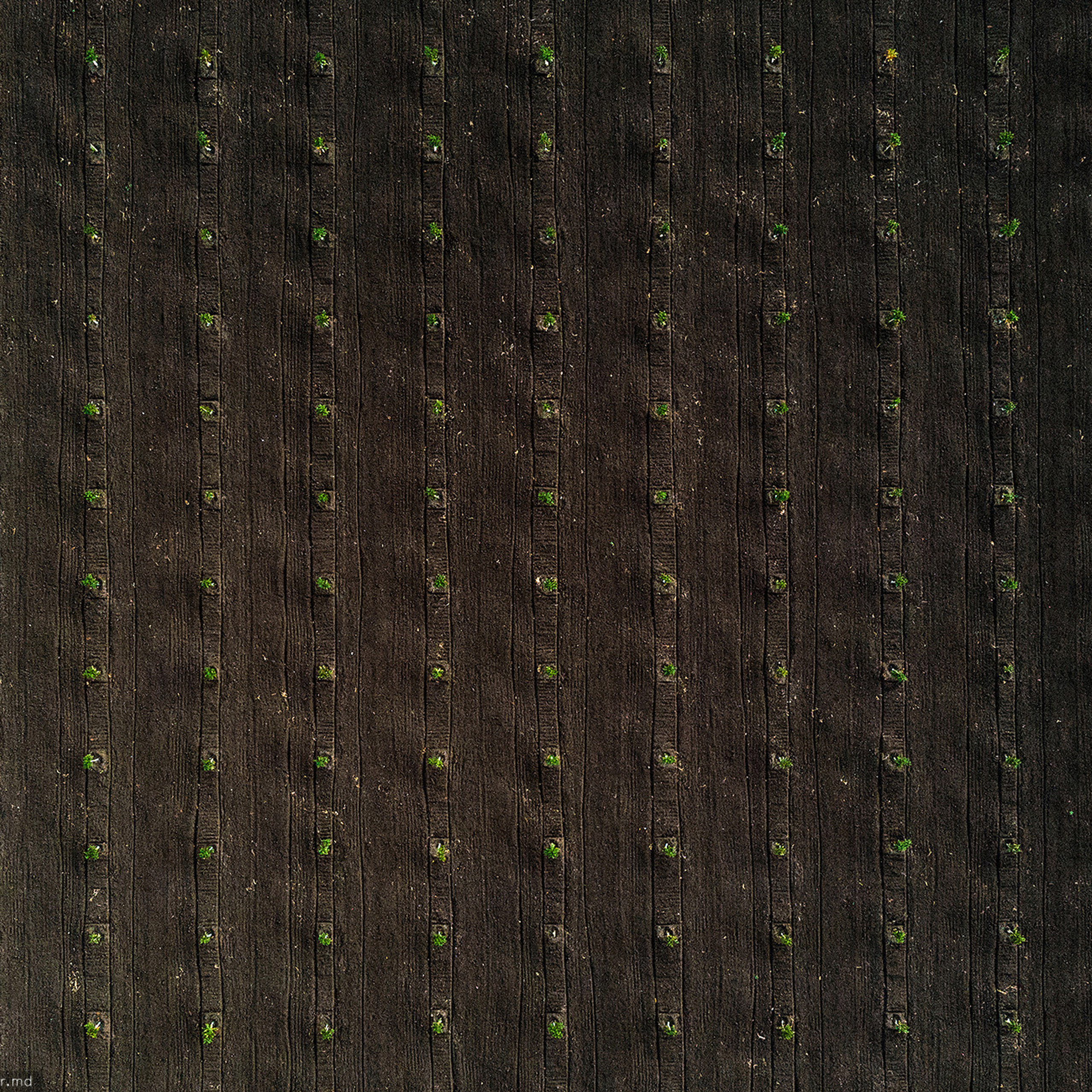 Curs individual de pilotaj cu drona — Chisinau, Moldova