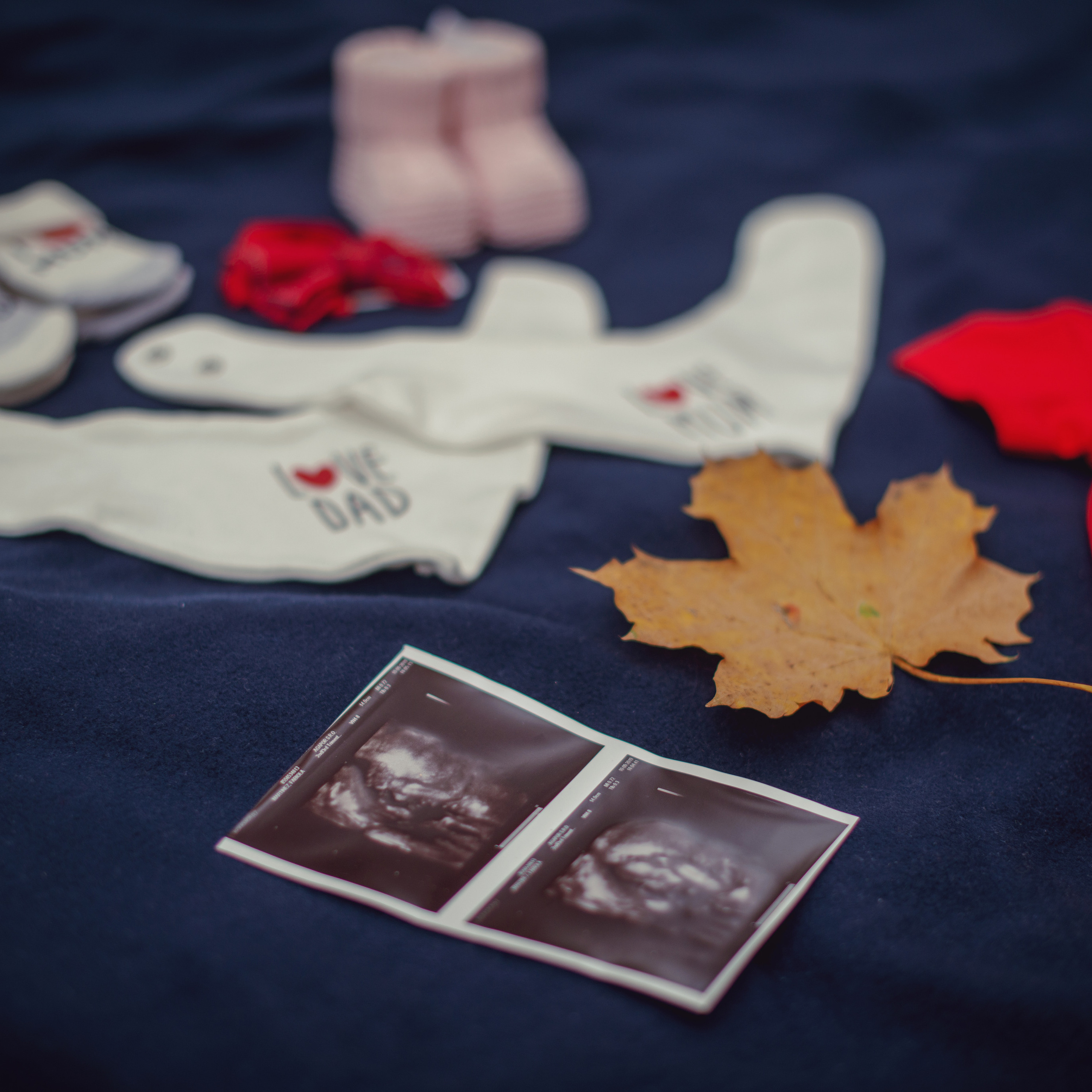 Svatební focení s výhledem na Karlův most a ve Valdštejnské zahradě. Profesionální fotografka v Praze Anastasia Haritonova