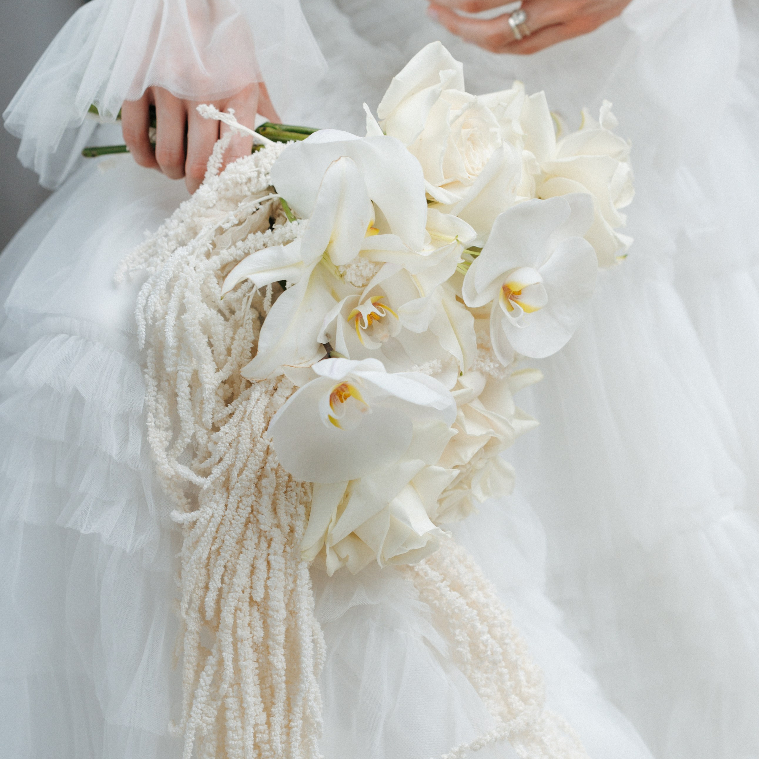 About me. Alexandra Hanu Photographer