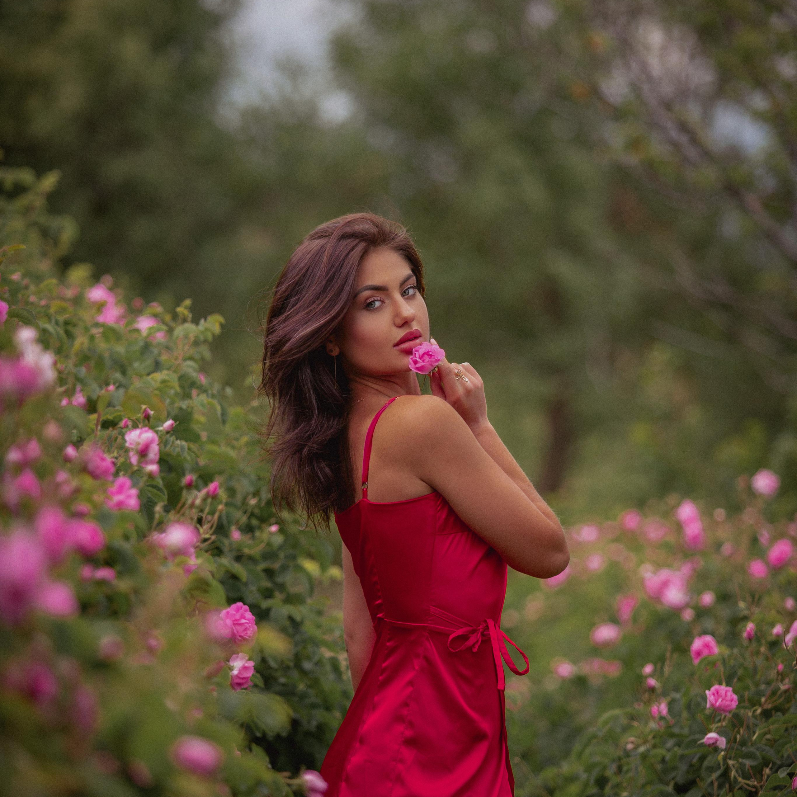 Цветение дамской розы в Турции. Цветение в Турции. Что цветет в Турции.