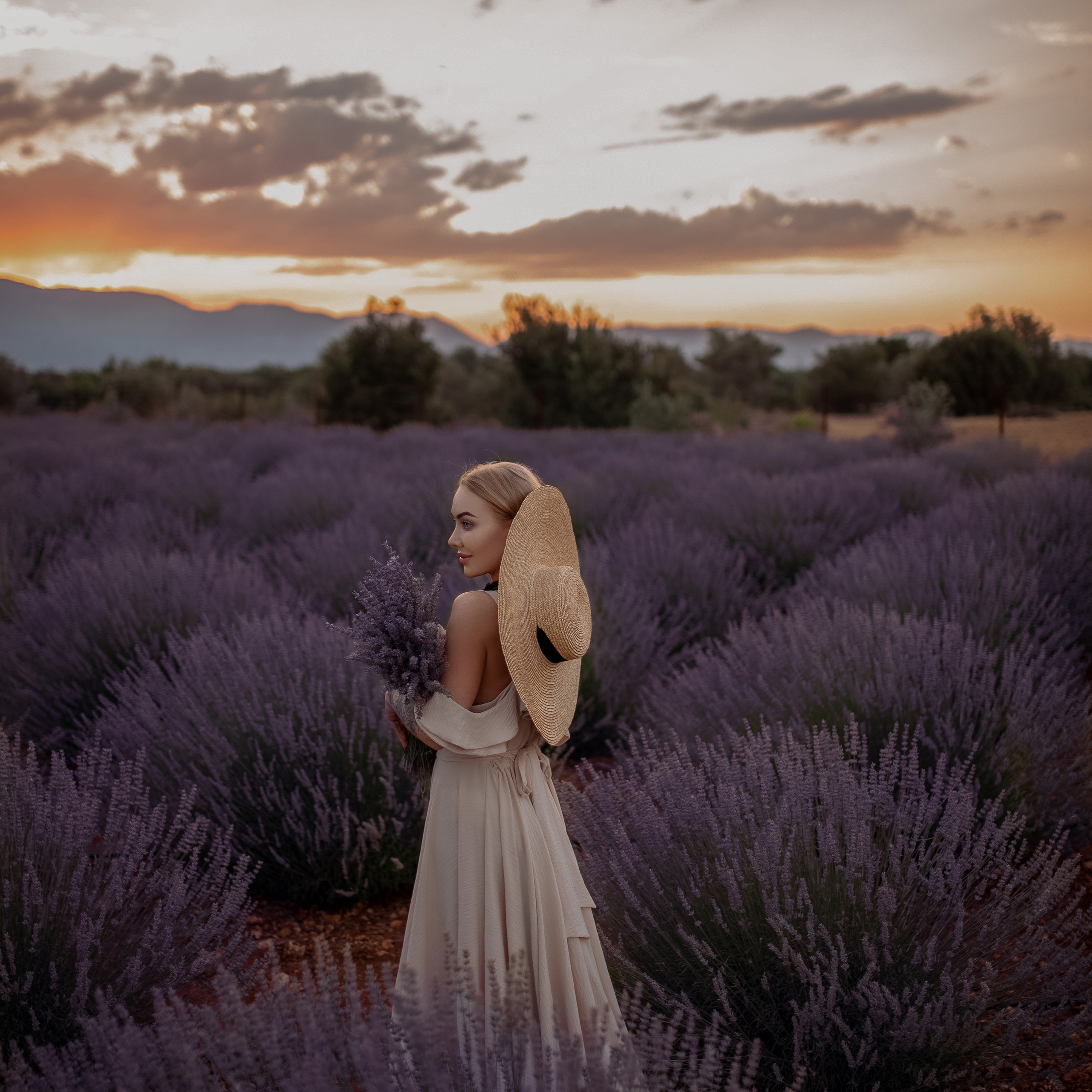 Цветение лавандовых полей в Турции. Лавандовое поле в Анталии. Цветение в Турции. Что цветет в Турции.