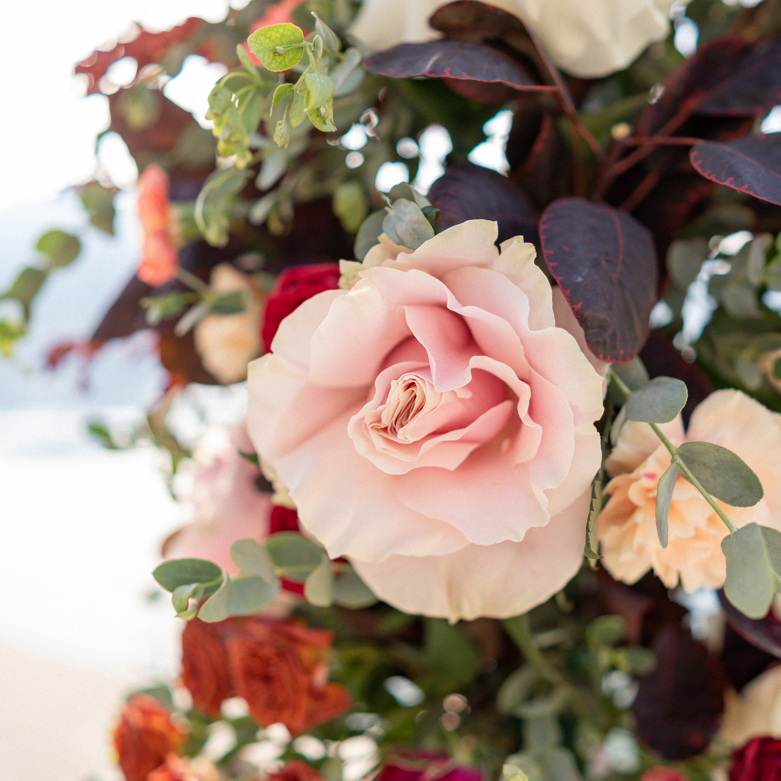 Villa Nikčević: din fortryllende bryllupslokale i Montenegro