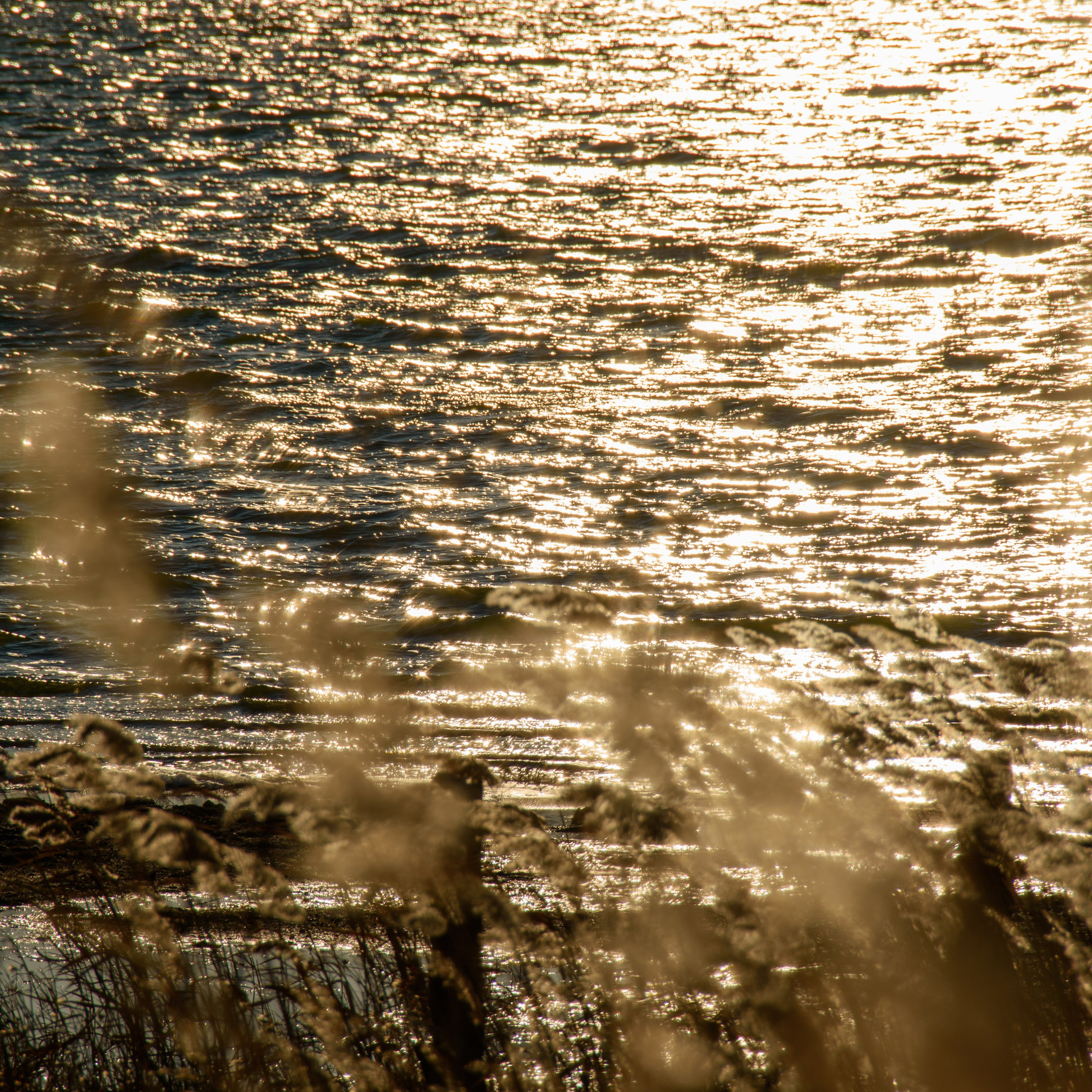 (Photo) Book Club. KoRa Foto Art