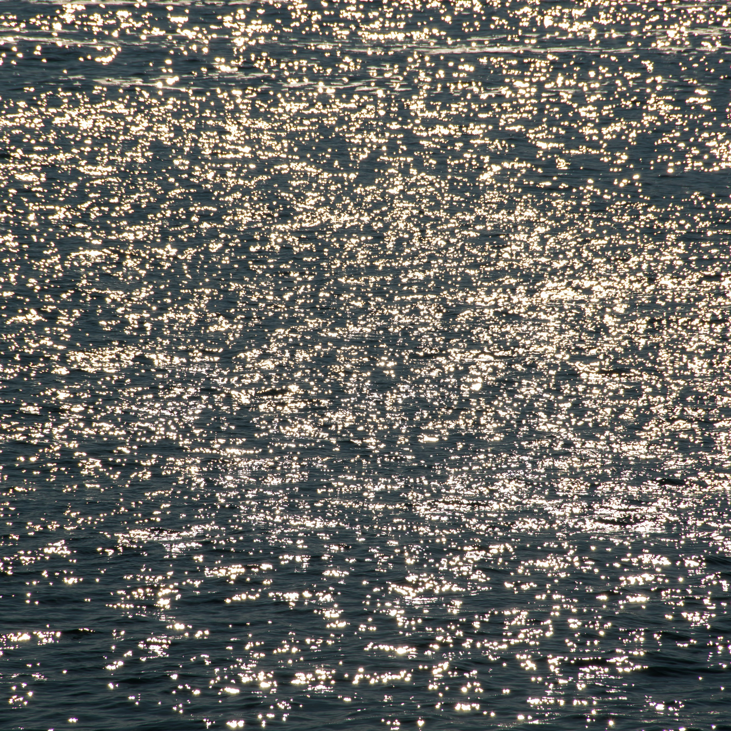 (Photo) Book Club. KoRa Foto Art