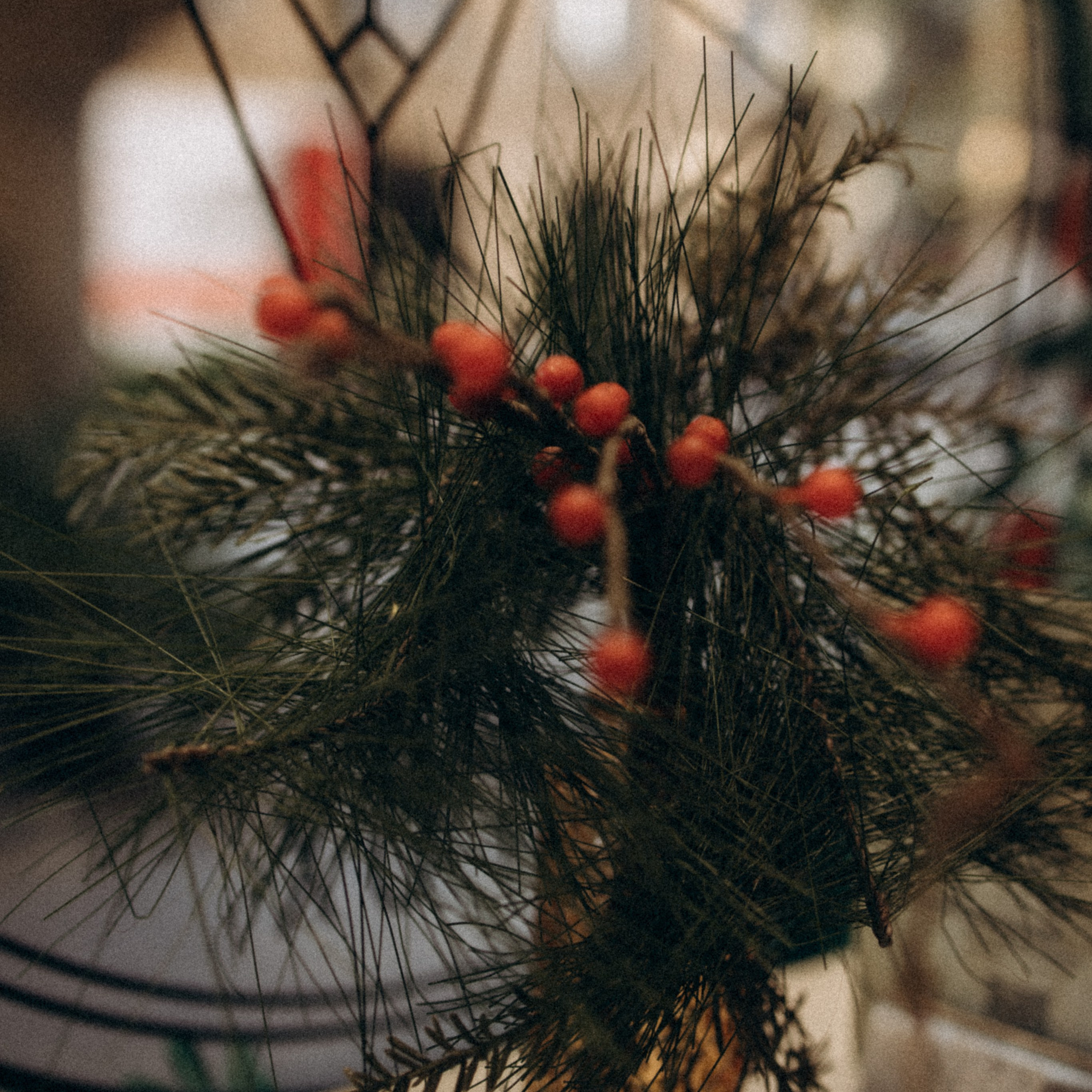 Mini-séance photo de Noël 2024. Семейный фотограф во Франции (Мец, Люксембург)