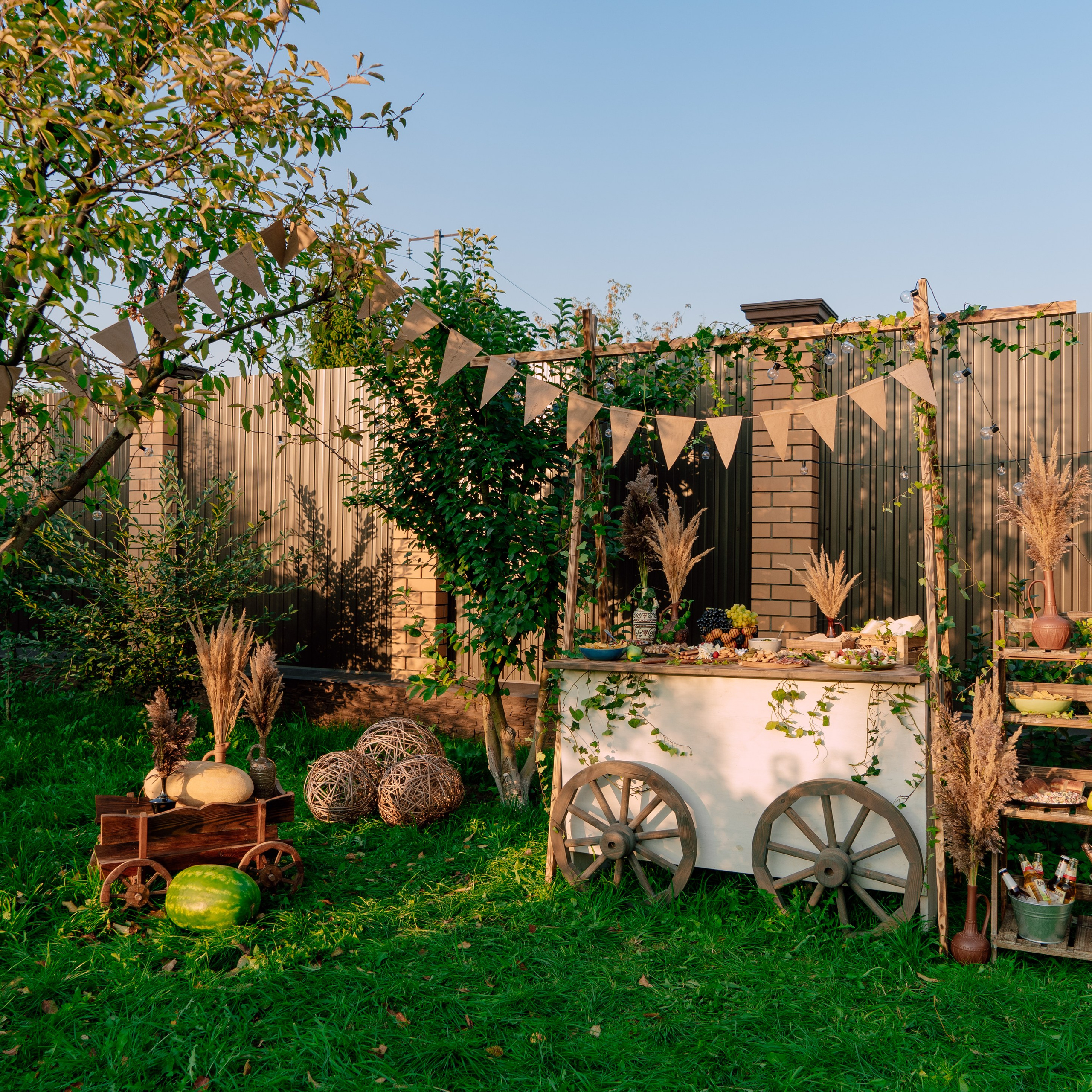 День Рождения Бори