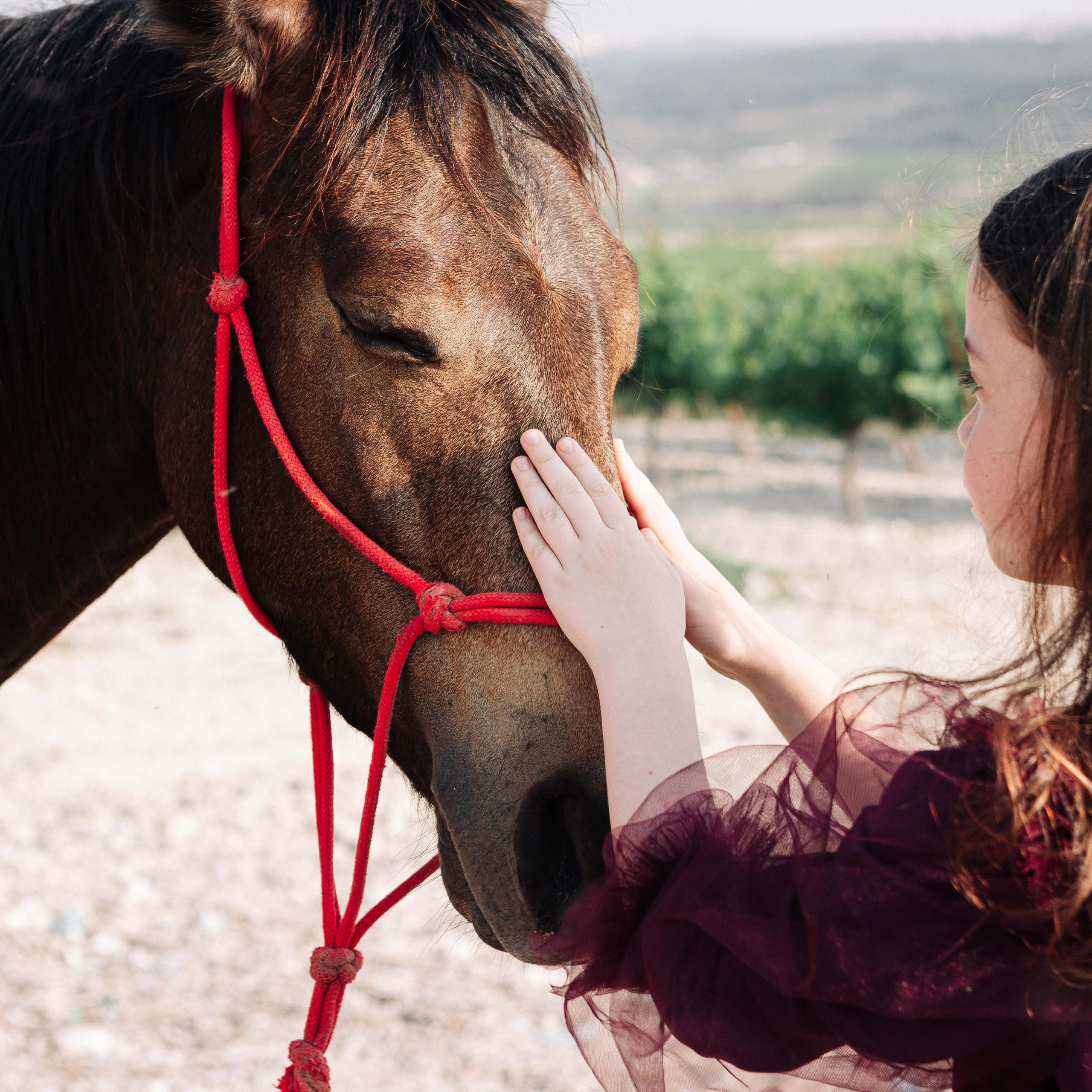 BAT MITZVAH IN THE VINEYARDS