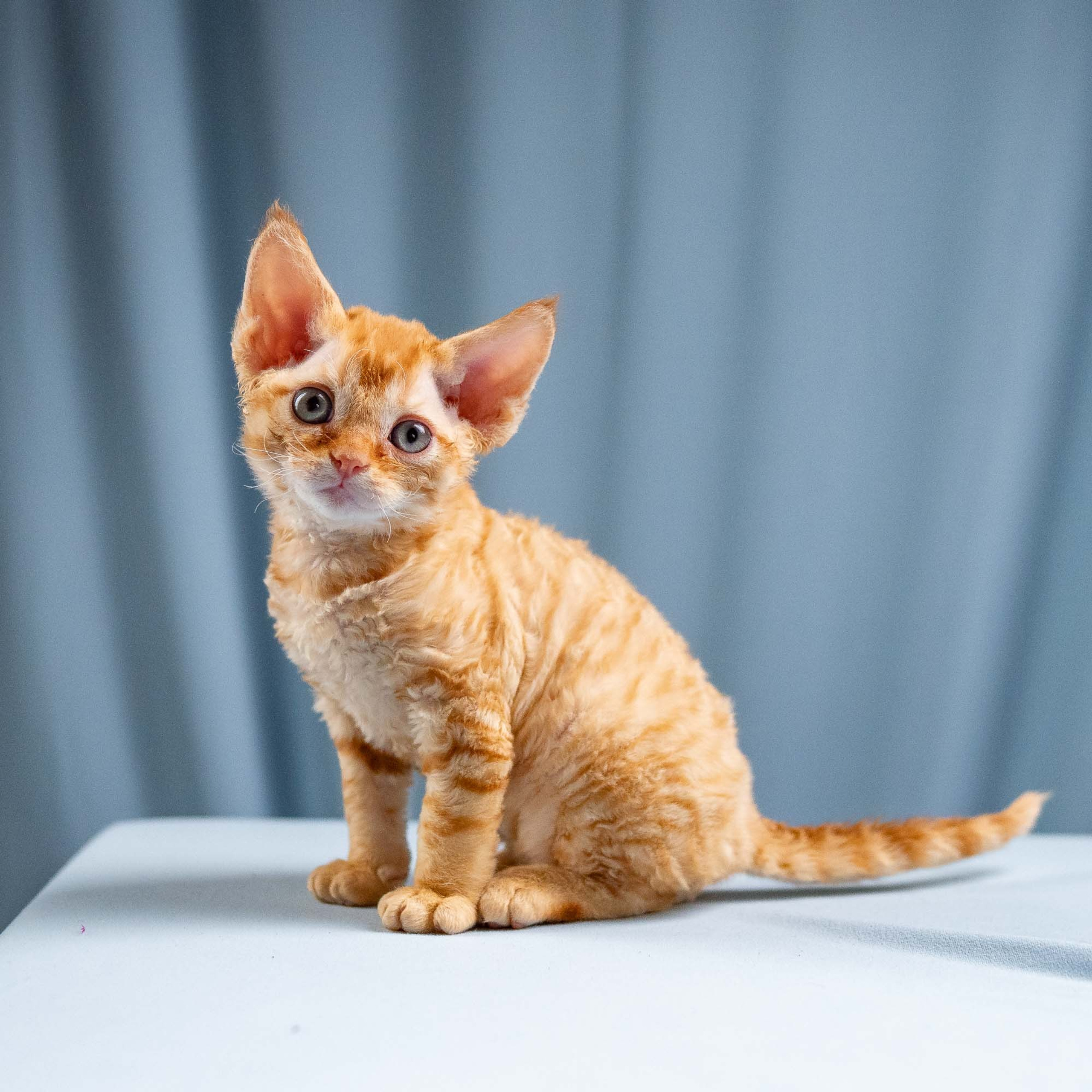 Jackie, boy, born 06.25.2025