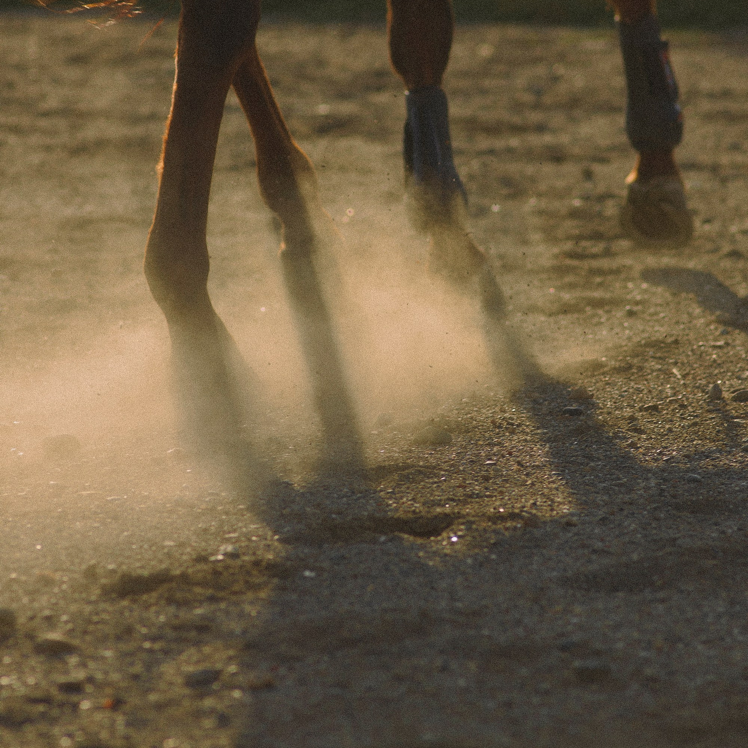 GS FW 2022. Aura Studio / co-design space