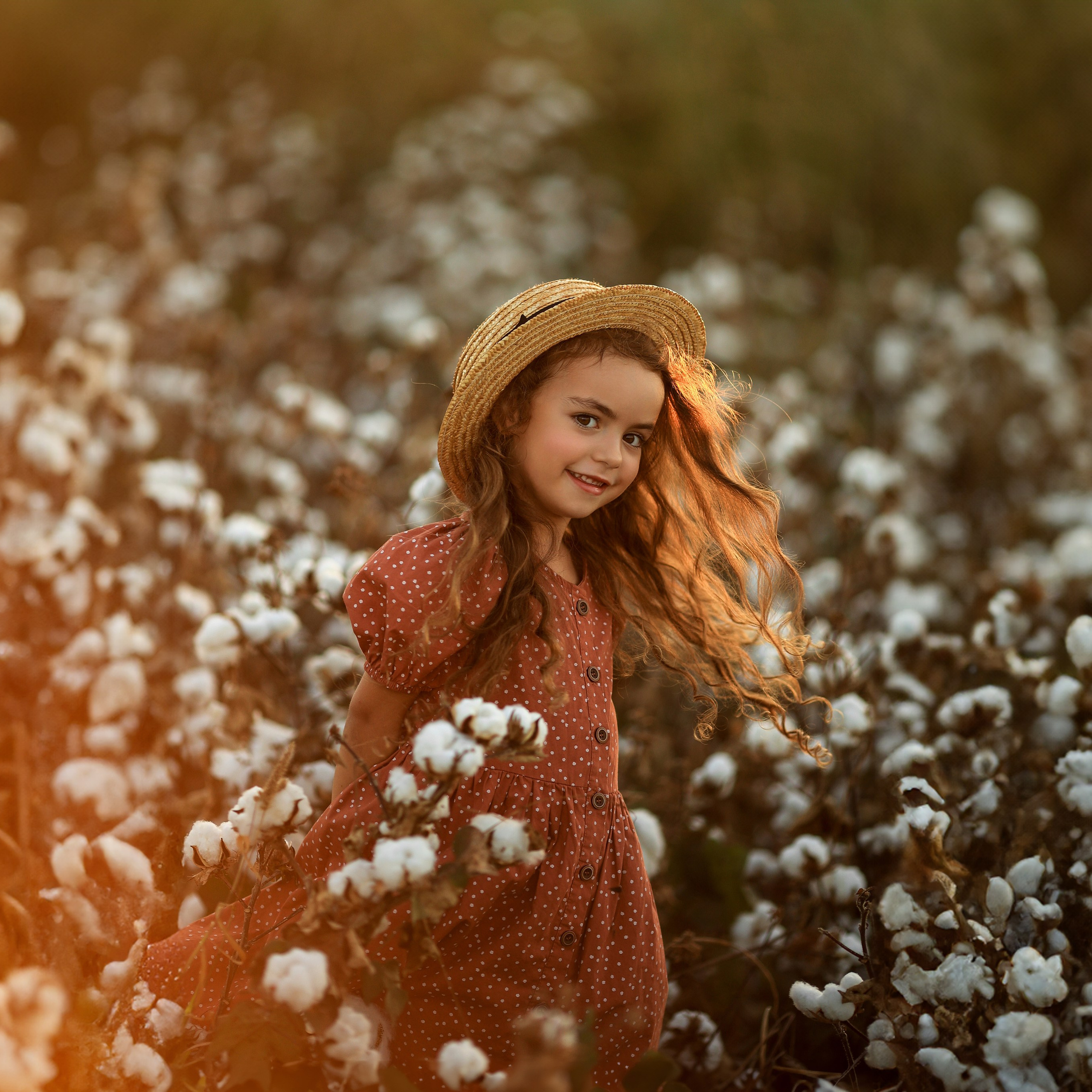 Photoshooting on cotton field