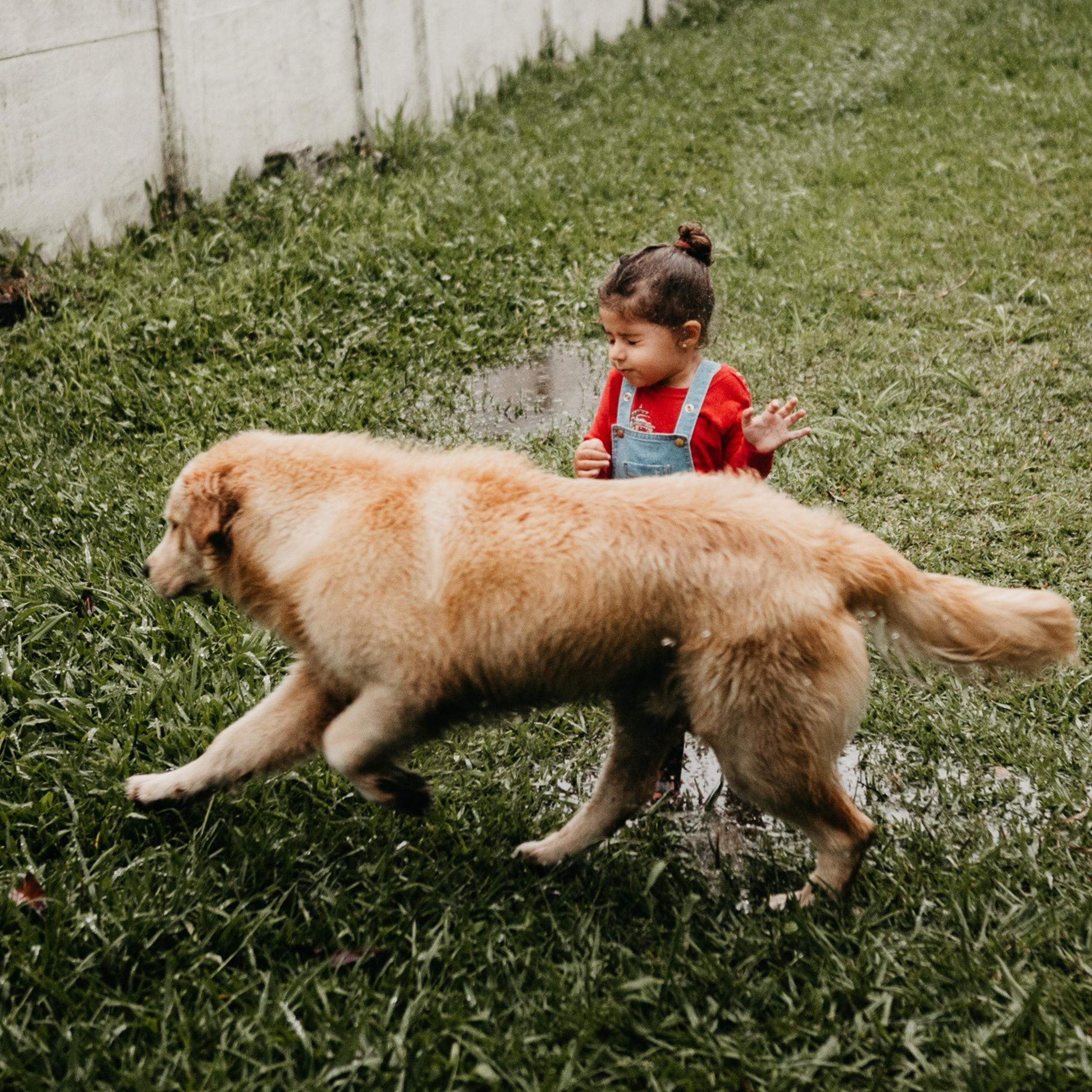 SOBRE. Fotógrafa de família