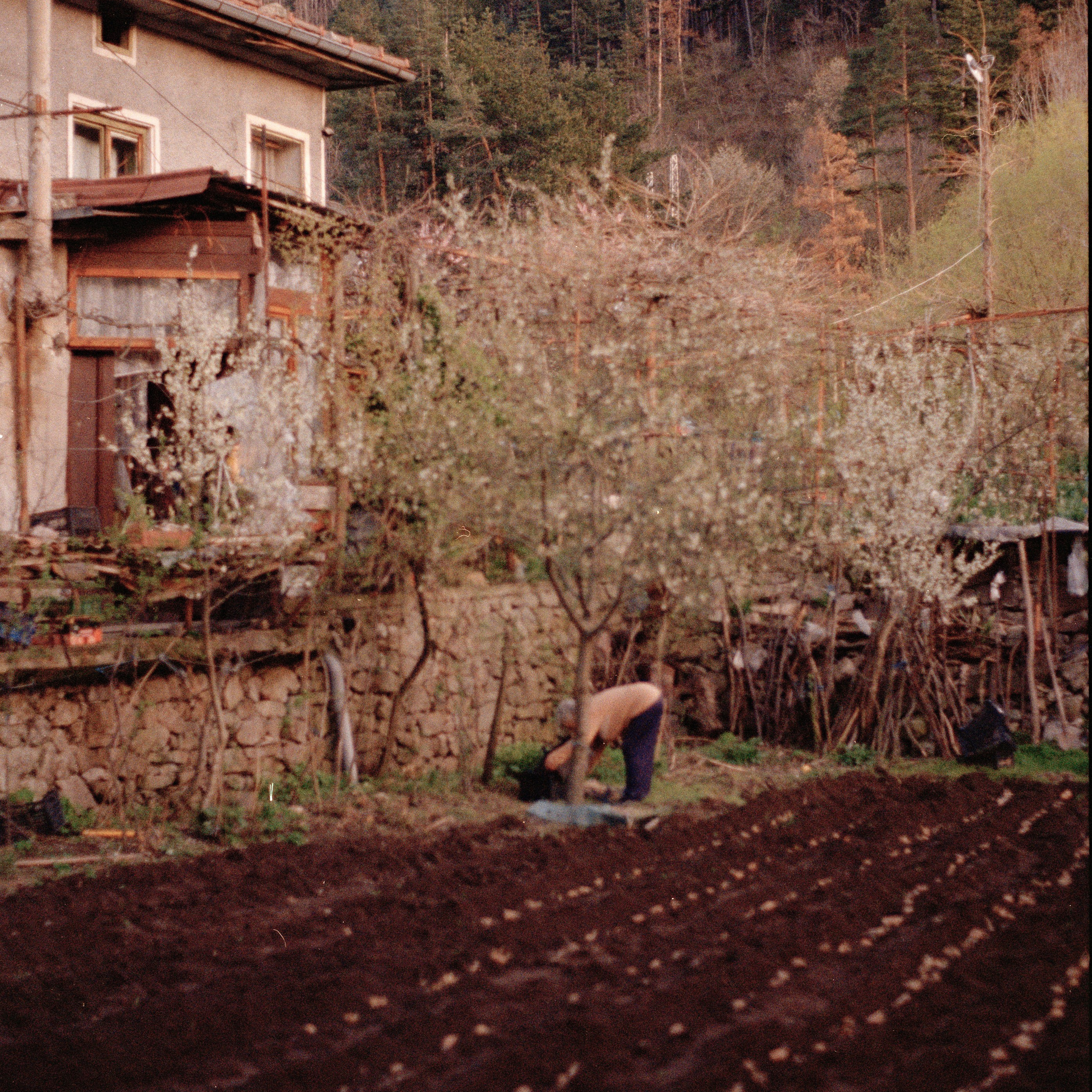 Still Home. Dilyana Tankova