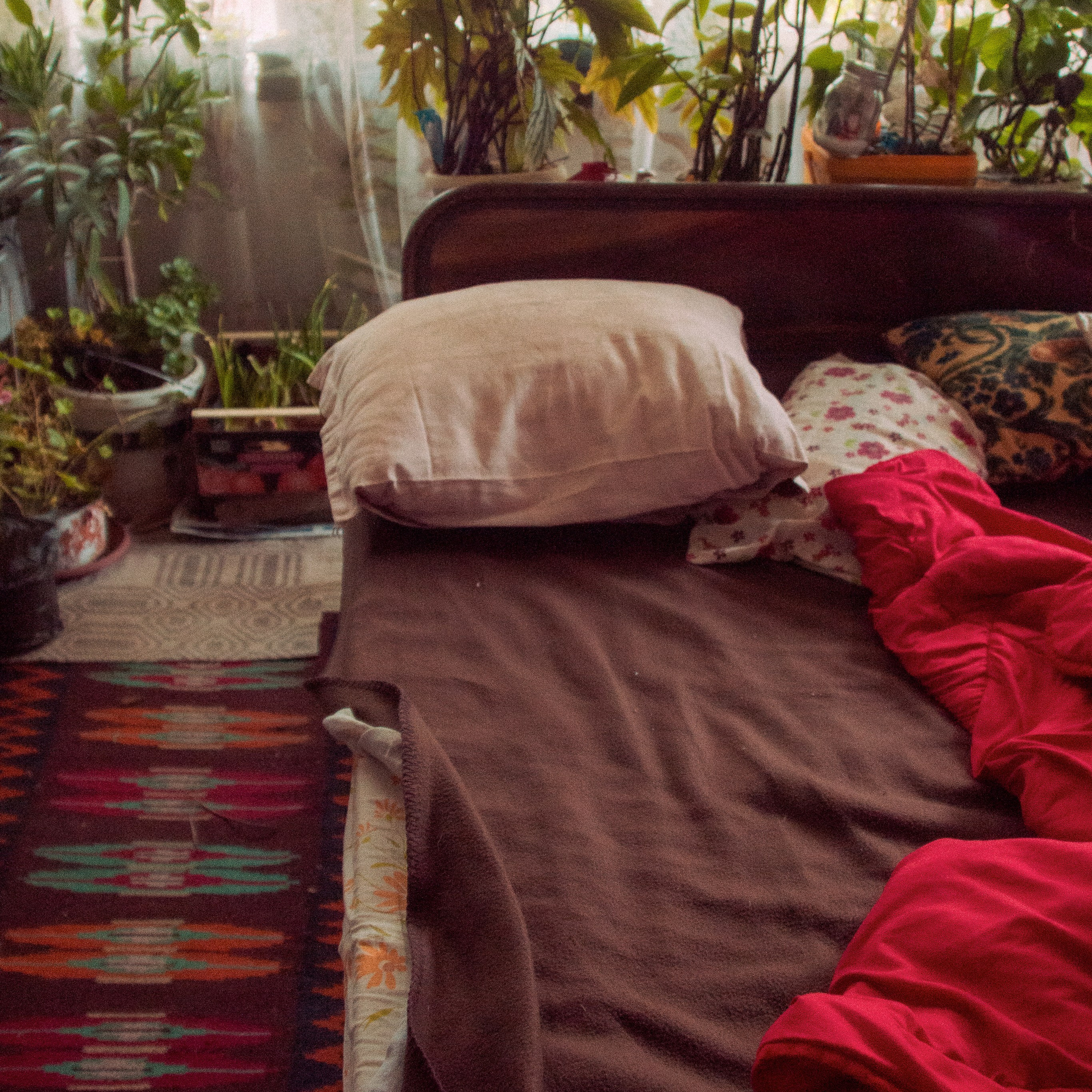 Still Home. Dilyana Tankova
