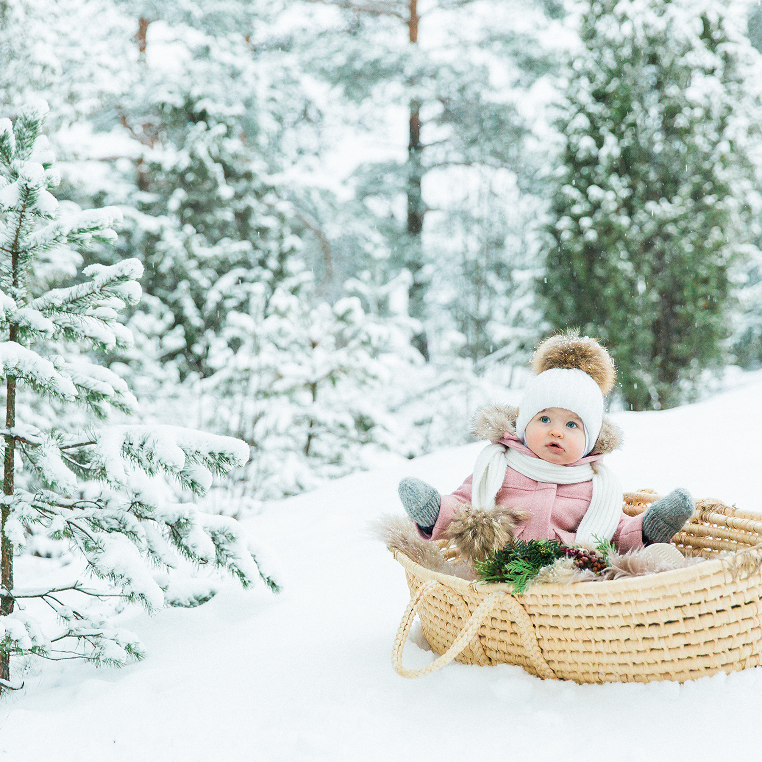 Child, Family, Maternity Photography Package Prices
