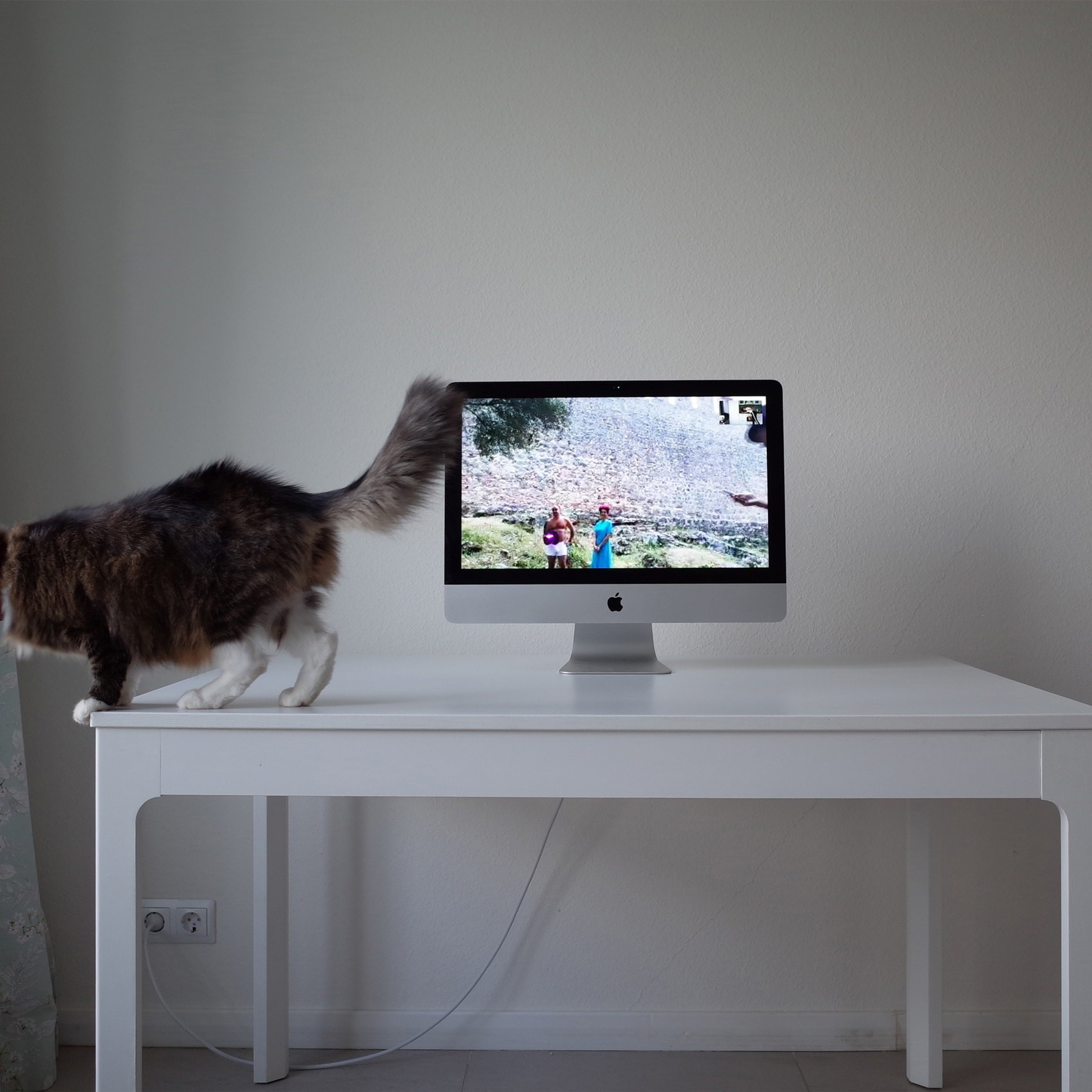 A digital performance merging photography and IT simulation. The artist, based in Israel, conducts a remote photoshoot with models in Turkey via a glitch-prone video call. The final images are intentionally pixelated, captured by photographing a computer screen—highlighting digital fragility and failed communication. A commentary on distance, technology, and the imperfections of virtual connection.