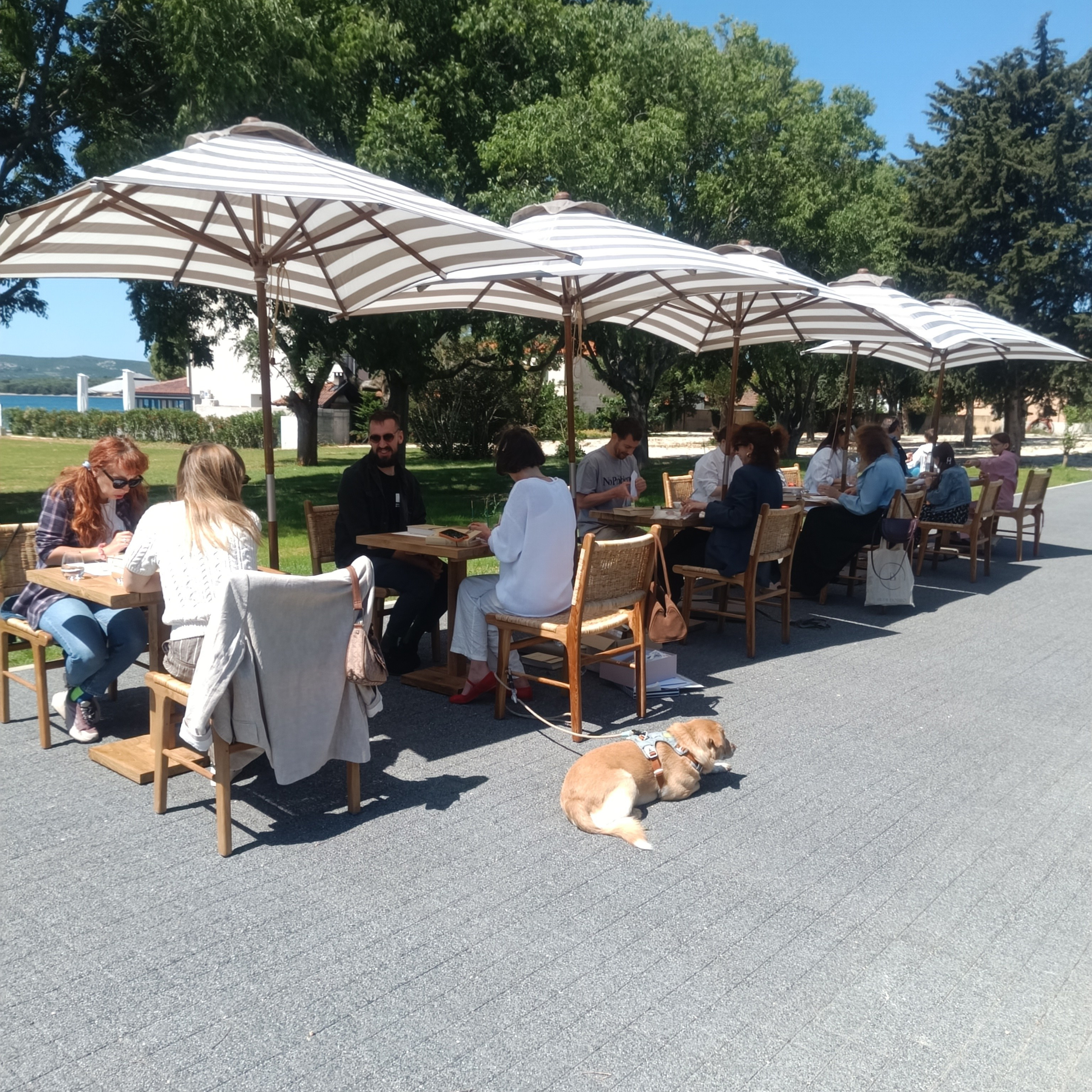 Vrtlarenje s Nietzscheom. Herbarij studio