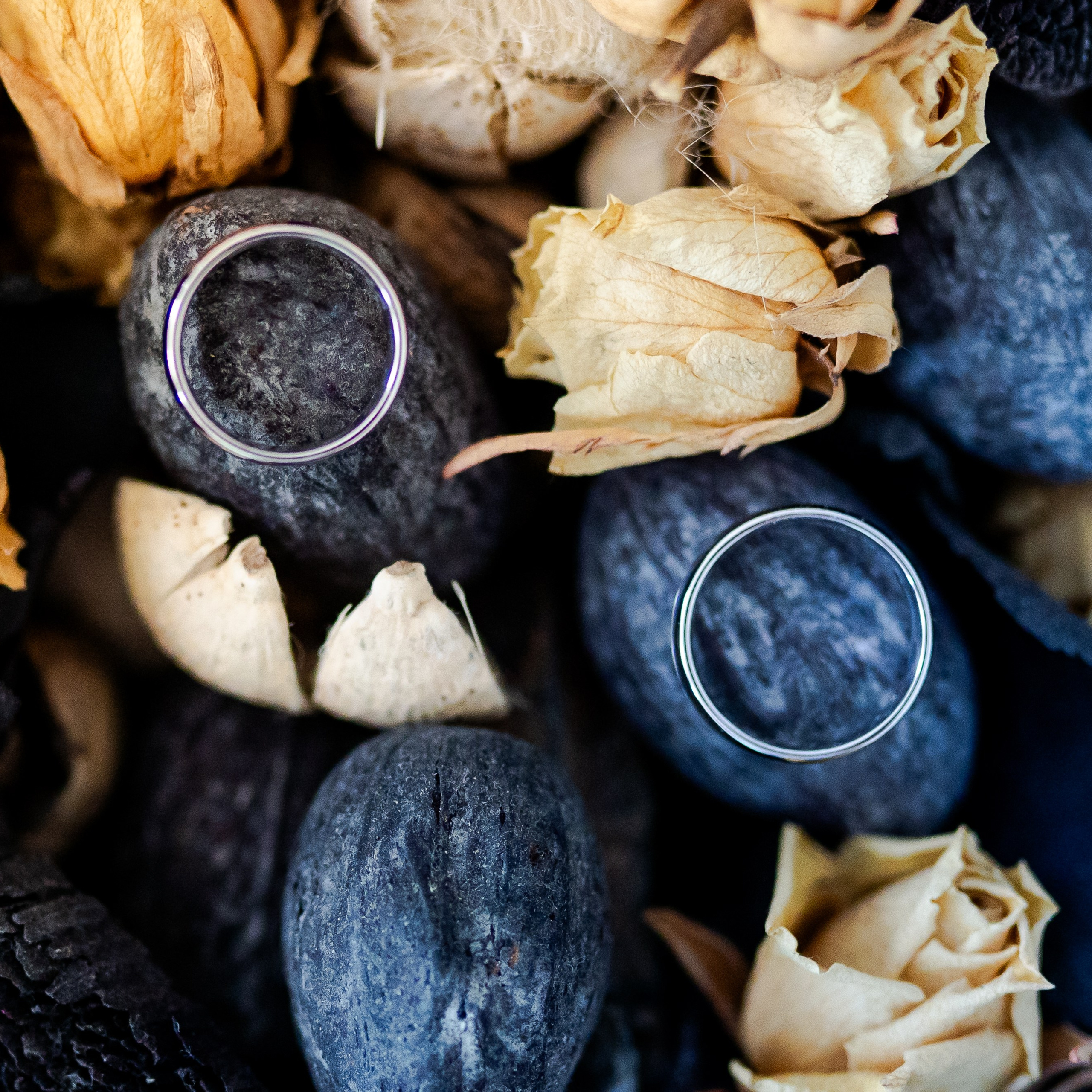 Fotografie | Videografie | ARN Creative Events