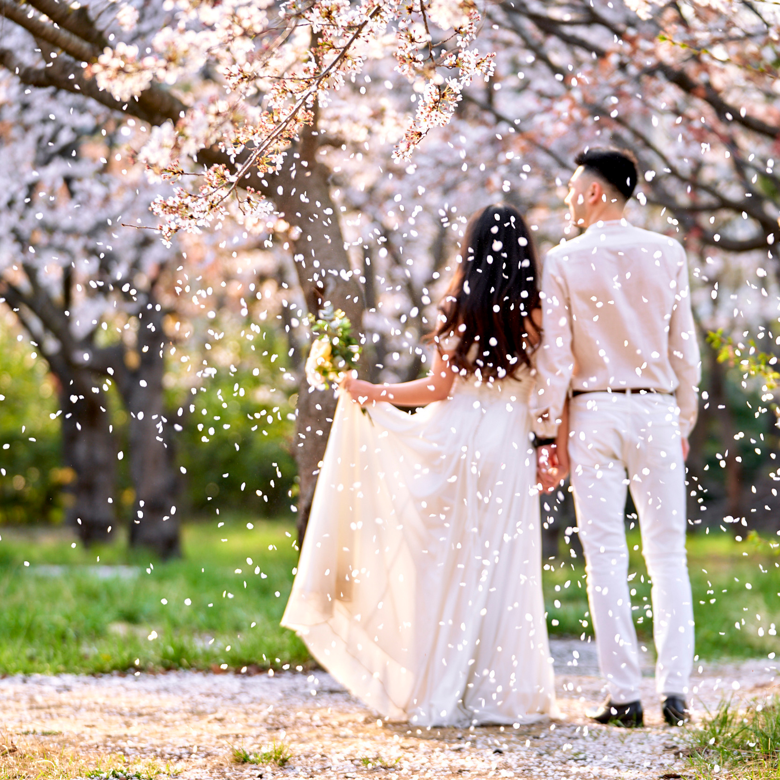 Истории. Фотограф в Южной Корее