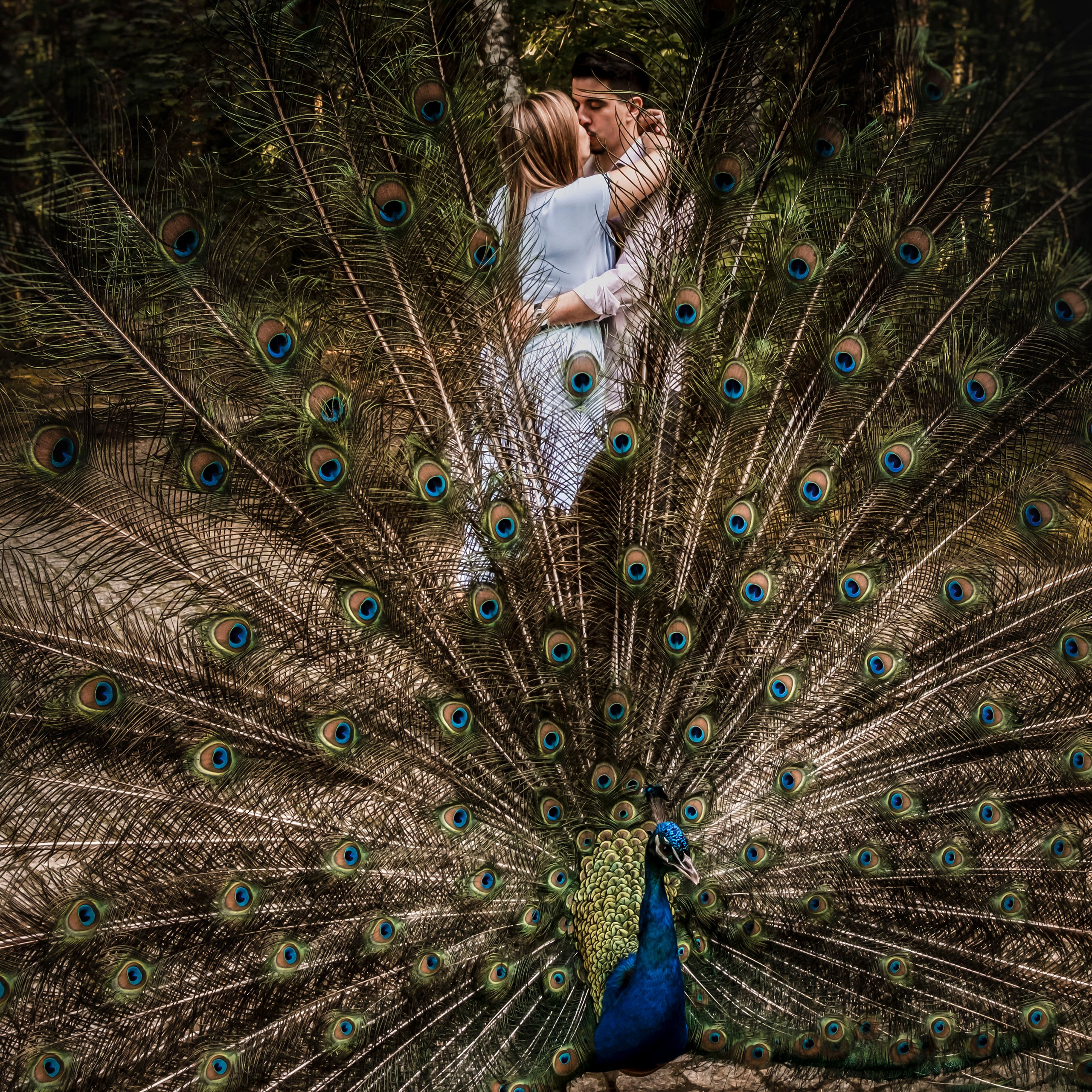 Sessão Pré Casamento