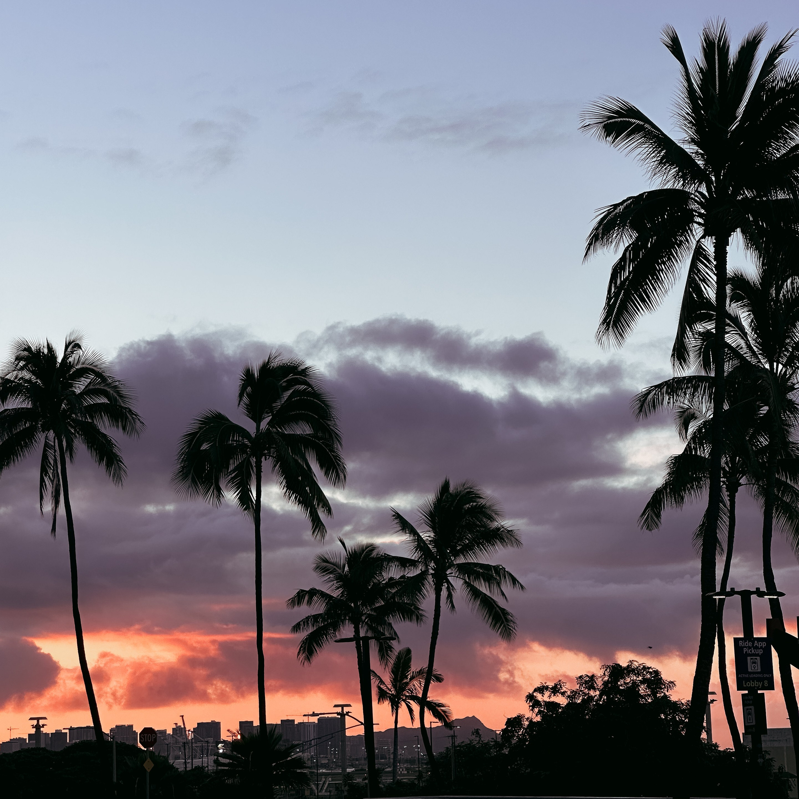 Colorful sunset with palm tree silhouettes in Oahu, Hawaii"