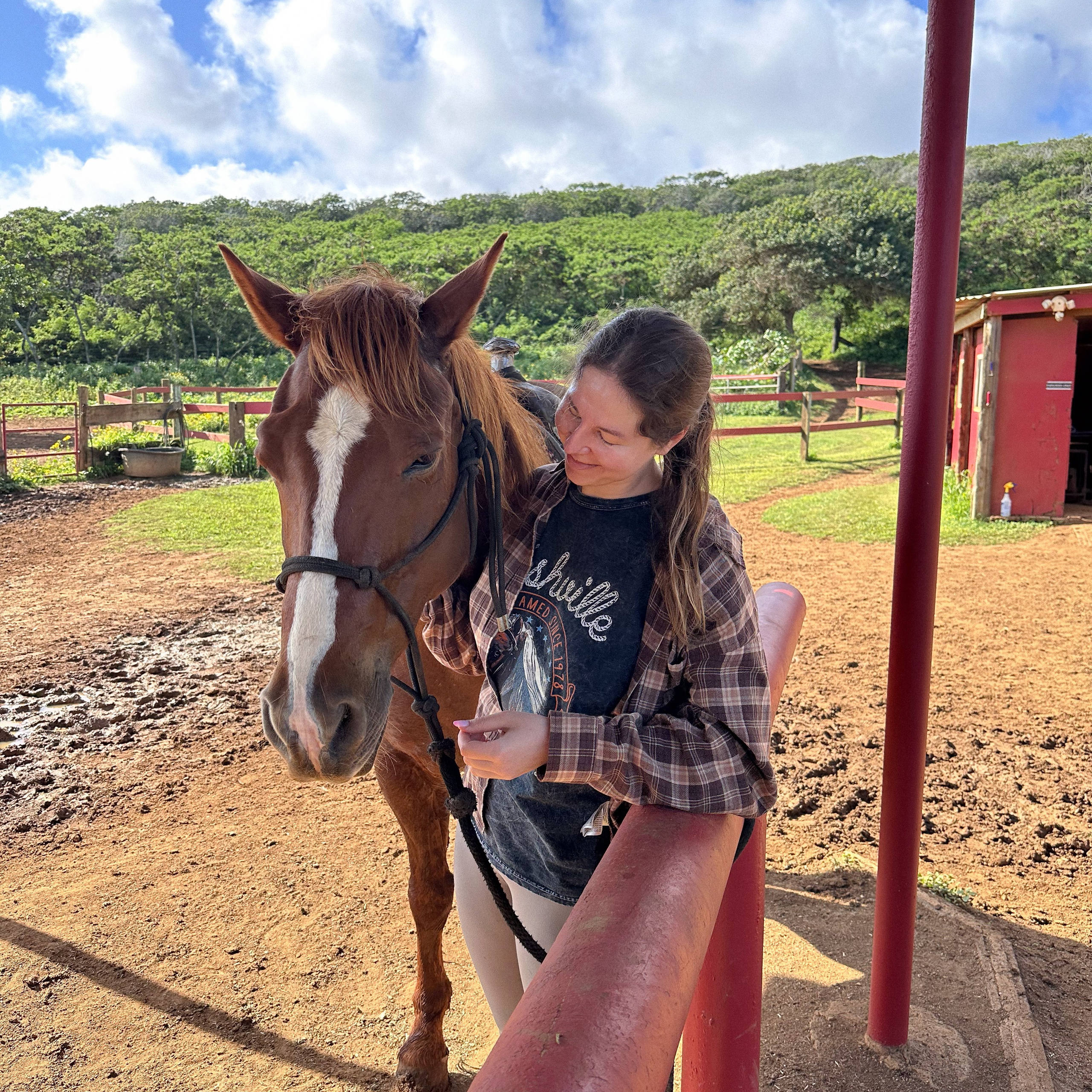 Horse Riding in Oahu