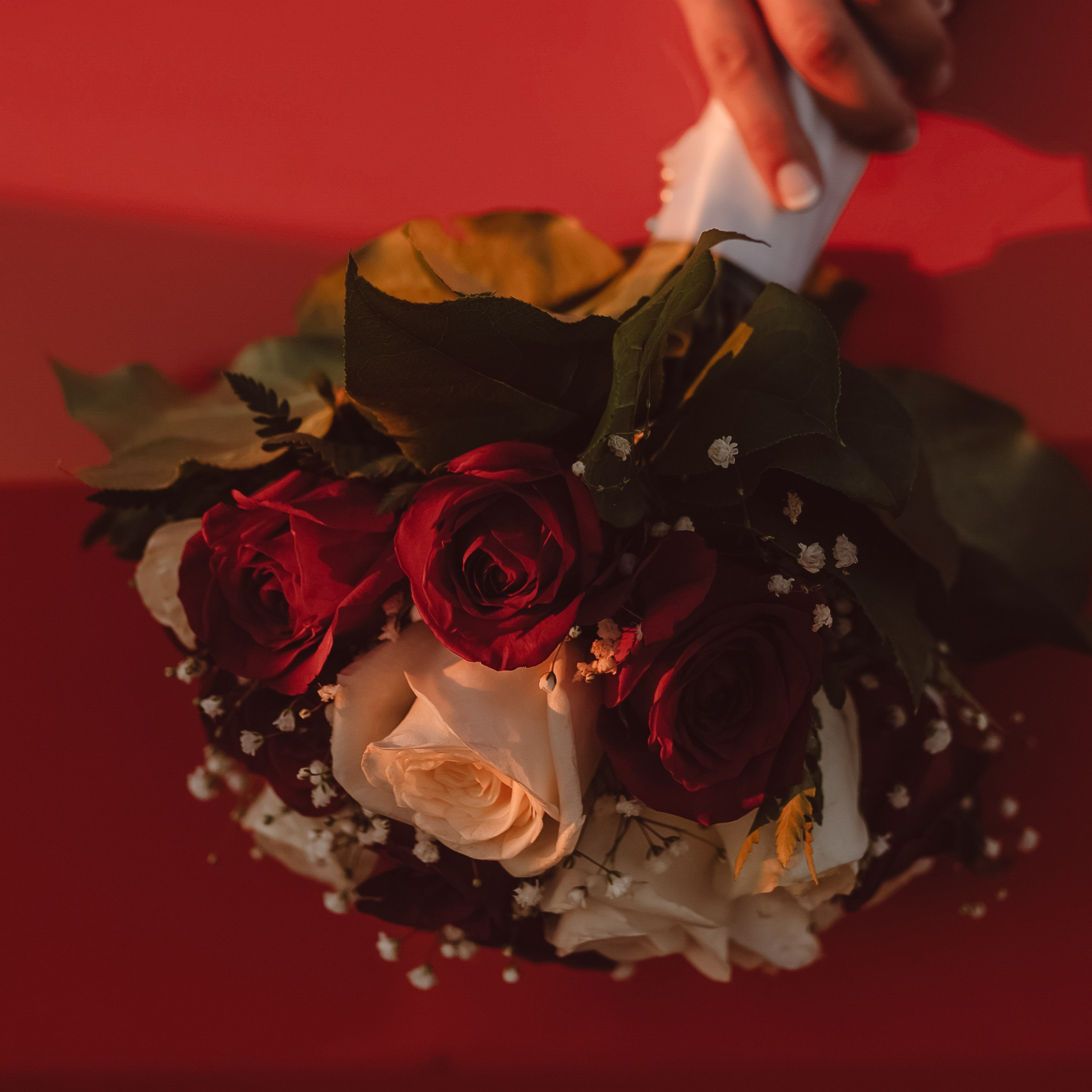 HELEN & ANTHONY. Wedding and family photographer in Calgary Kate Beliaeva