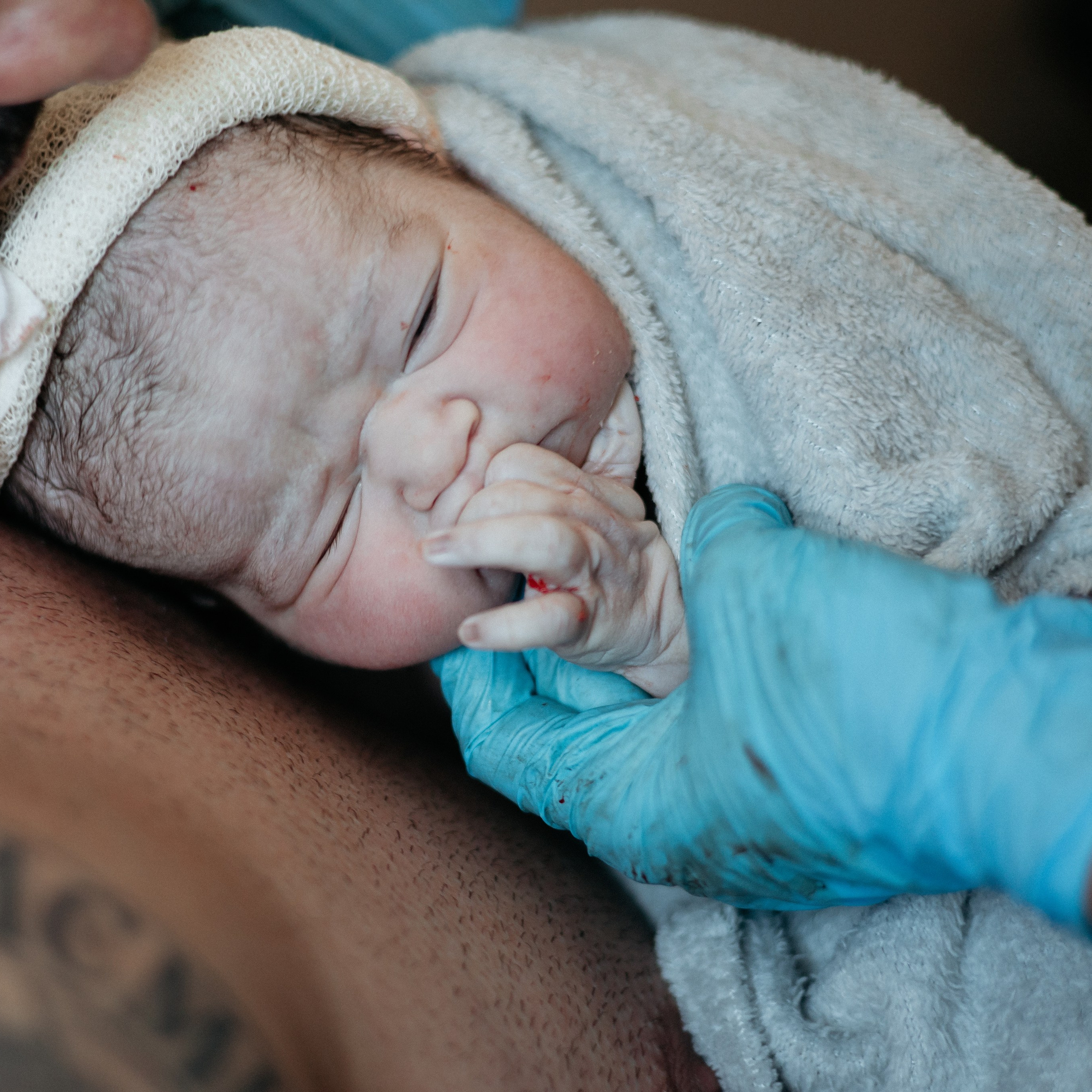 Serviços. Isabela Melo Fotografias