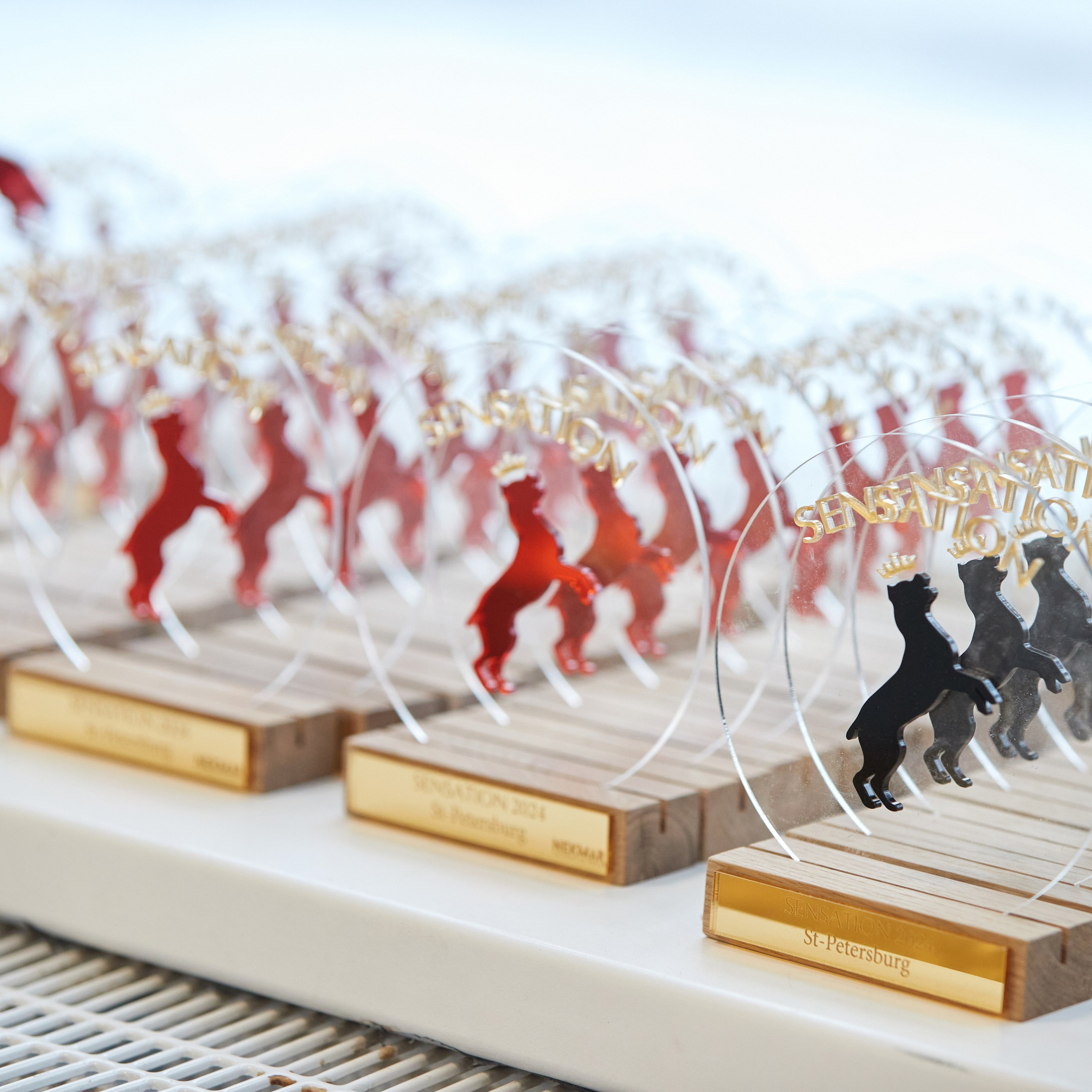 10-11.02.2024 ВЫСТАВКА СОБАК ВСЕХ ПОРОД (САС, ЧФ). Кинологический клуб РКФ РФСС СЕНСАЦИЯ