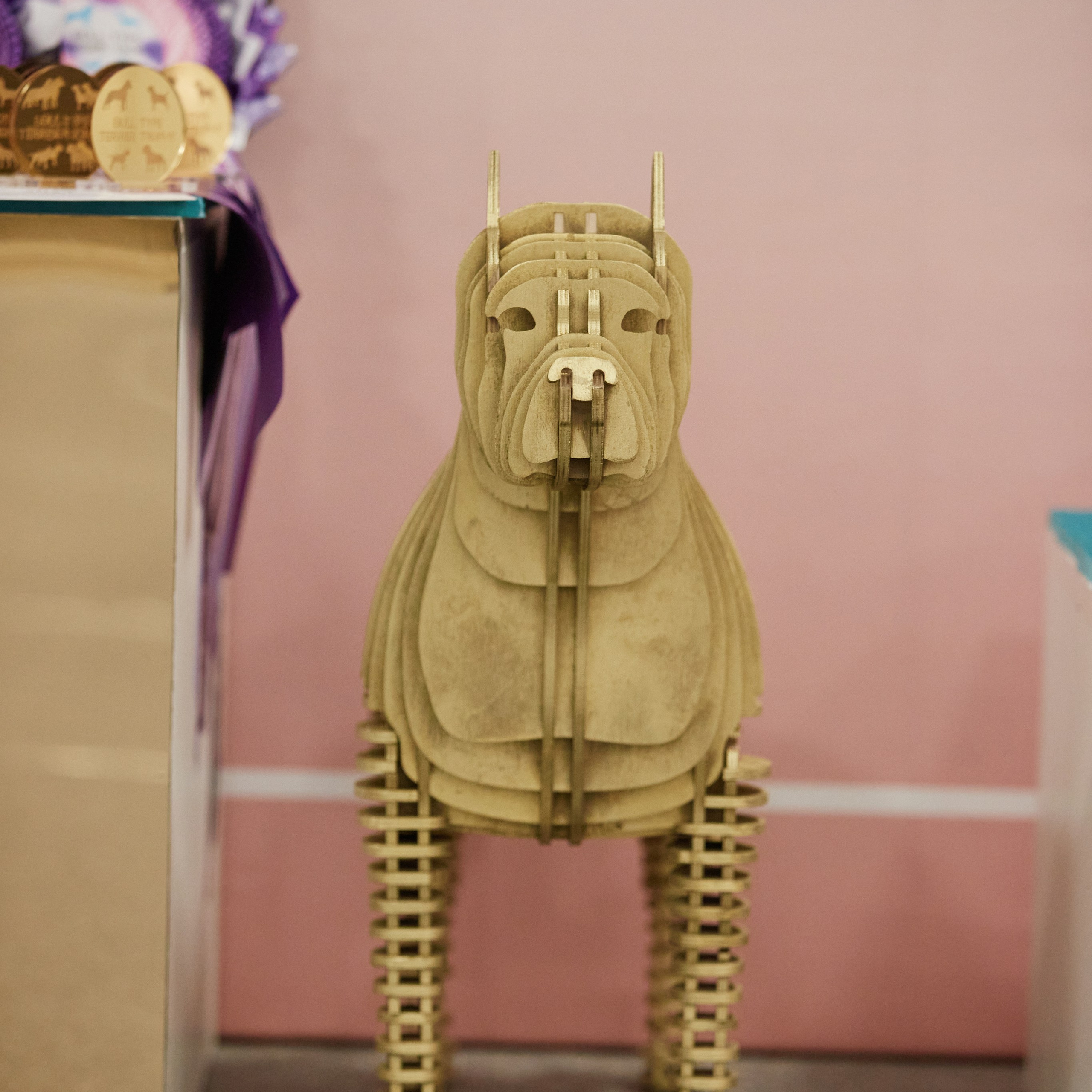 10-11.02.2024 ВЫСТАВКА СОБАК ВСЕХ ПОРОД (САС, ЧФ). Кинологический клуб РКФ РФСС СЕНСАЦИЯ