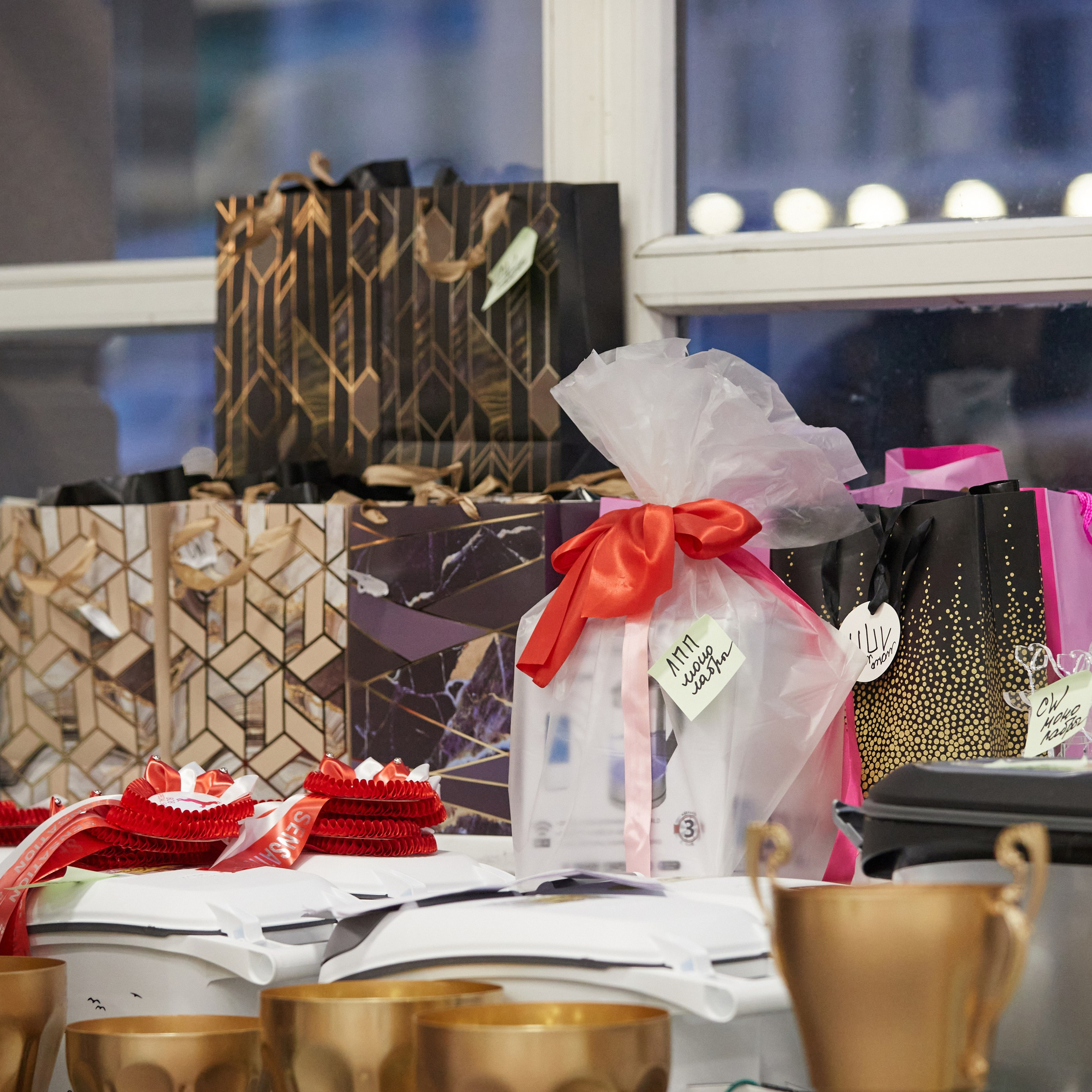 10-11.02.2024 ВЫСТАВКА СОБАК ВСЕХ ПОРОД (САС, ЧФ). Кинологический клуб РКФ РФСС СЕНСАЦИЯ