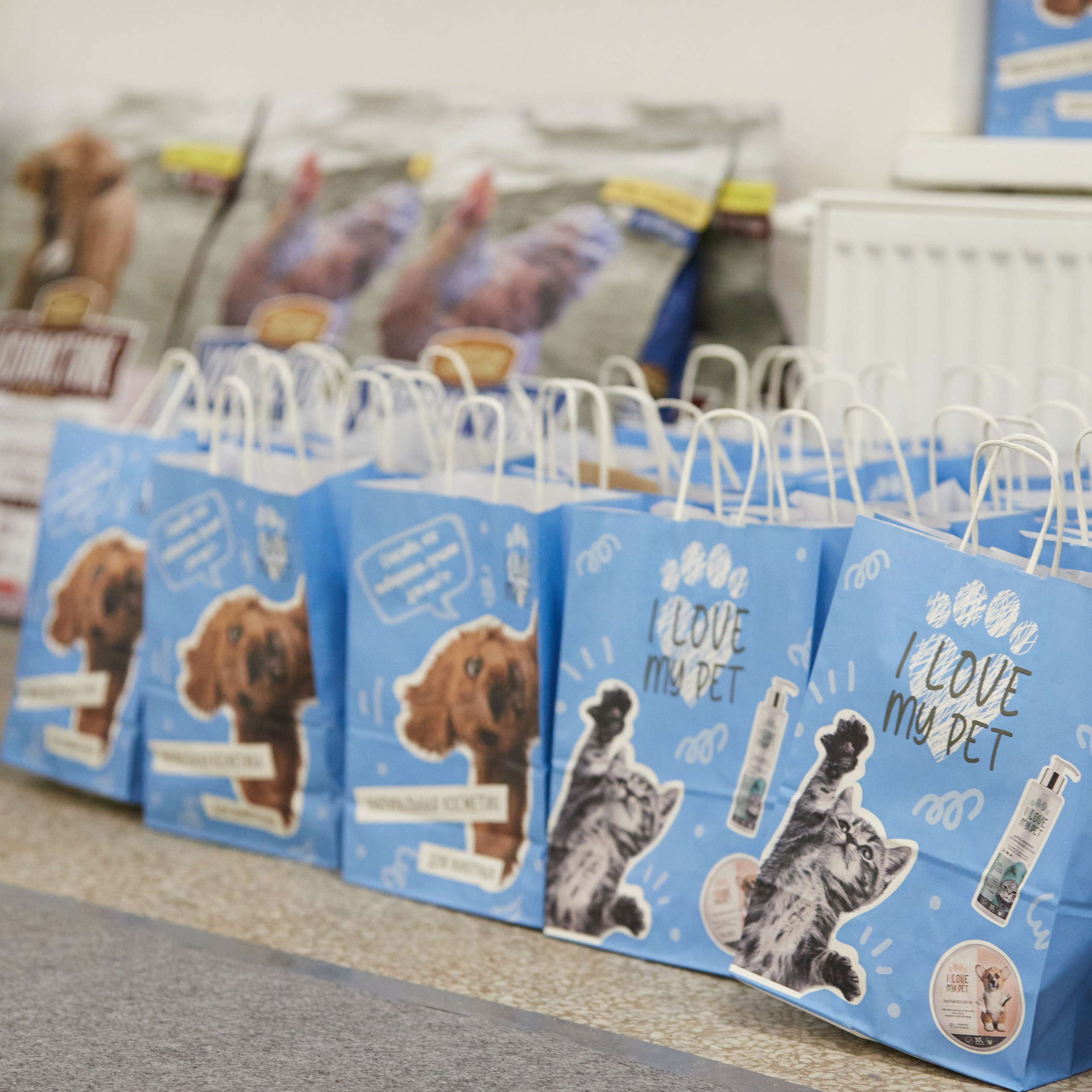 10-11.02.2024 ВЫСТАВКА СОБАК ВСЕХ ПОРОД (САС, ЧФ). Кинологический клуб РКФ РФСС СЕНСАЦИЯ