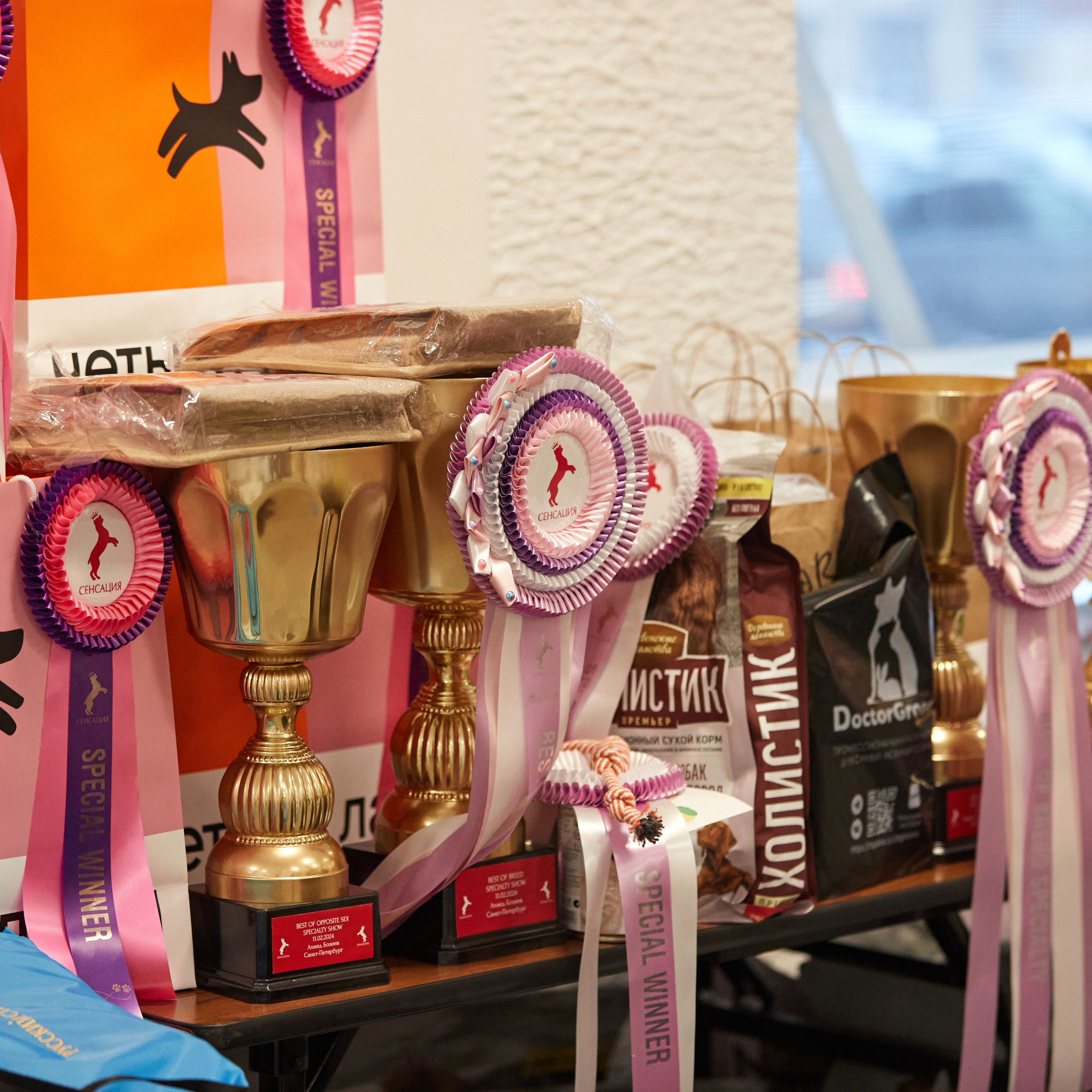 10-11.02.2024 ВЫСТАВКА СОБАК ВСЕХ ПОРОД (САС, ЧФ). Кинологический клуб РКФ РФСС СЕНСАЦИЯ