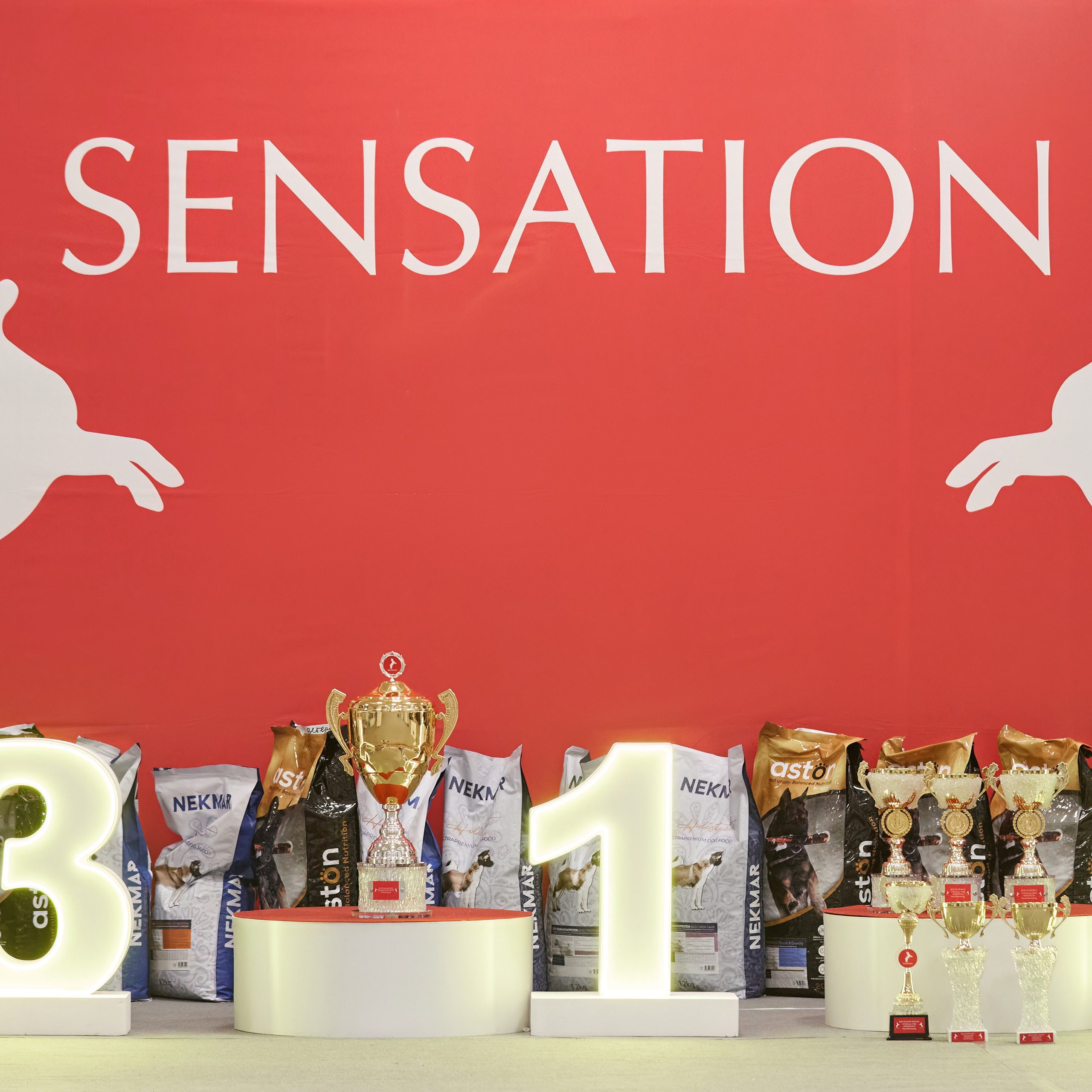 10-11.02.2024 ВЫСТАВКА СОБАК ВСЕХ ПОРОД (САС, ЧФ). Кинологический клуб РКФ РФСС СЕНСАЦИЯ