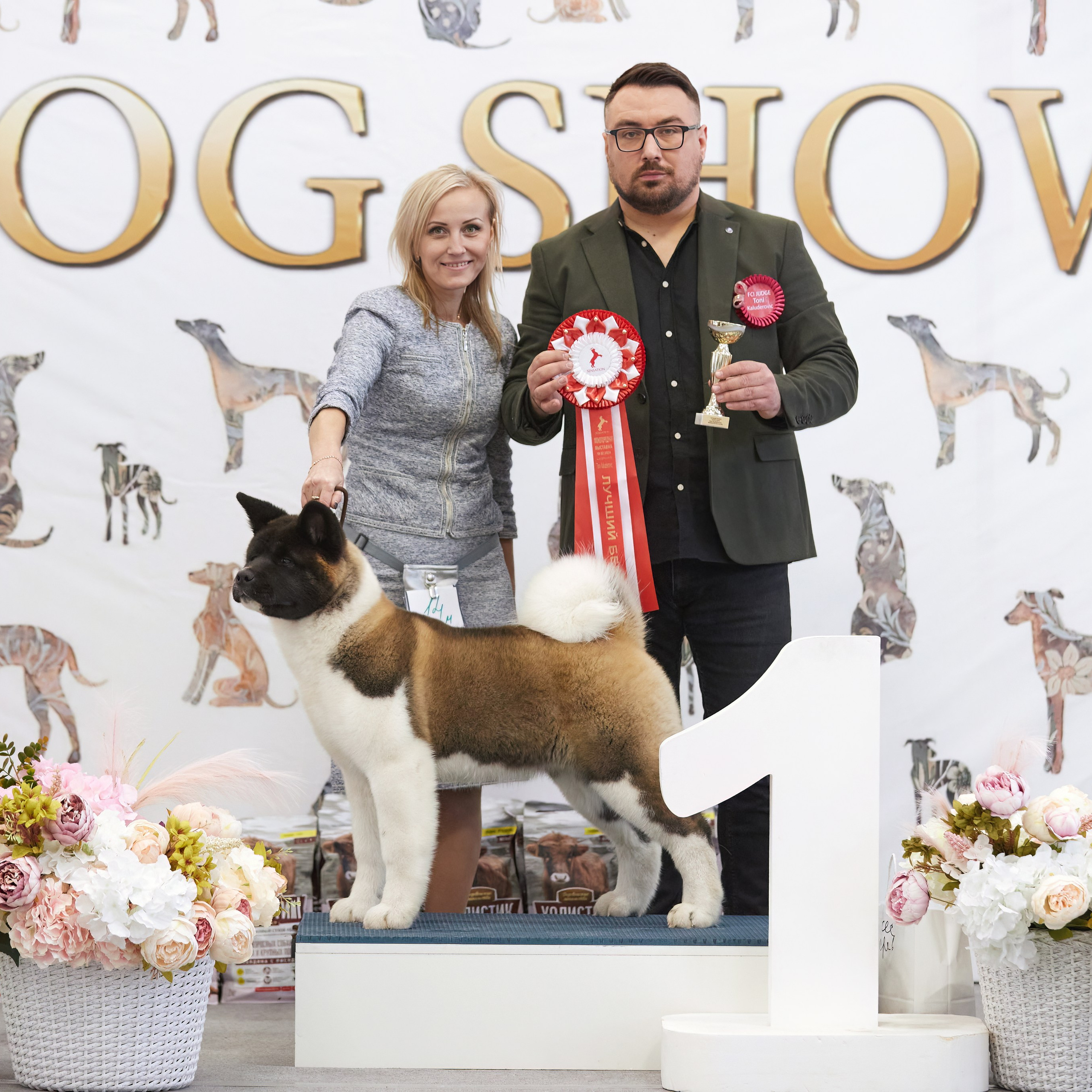 10-11.02.2024 ВЫСТАВКА СОБАК ВСЕХ ПОРОД (САС, ЧФ). Кинологический клуб РКФ РФСС СЕНСАЦИЯ