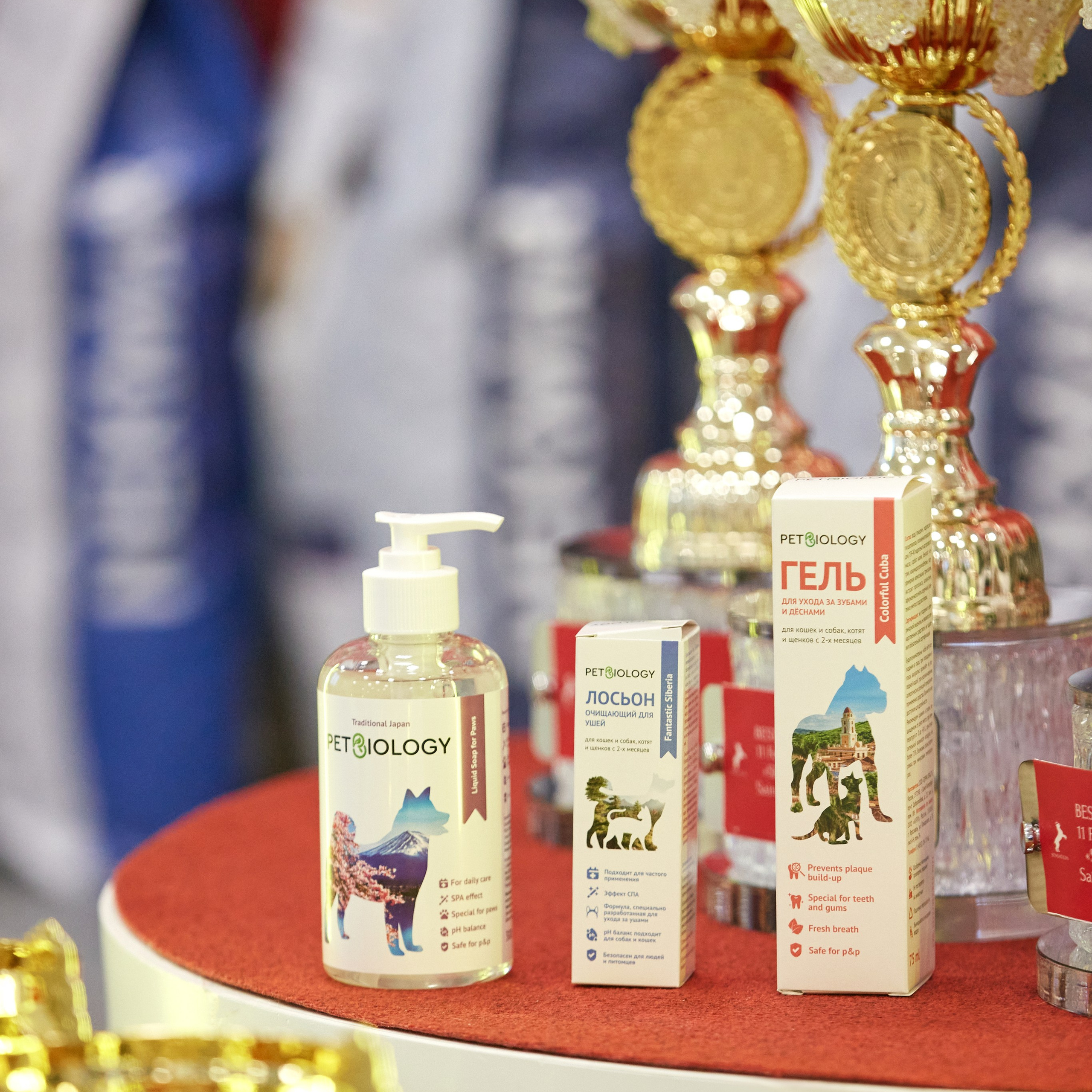 10-11.02.2024 ВЫСТАВКА СОБАК ВСЕХ ПОРОД (САС, ЧФ). Кинологический клуб РКФ РФСС СЕНСАЦИЯ