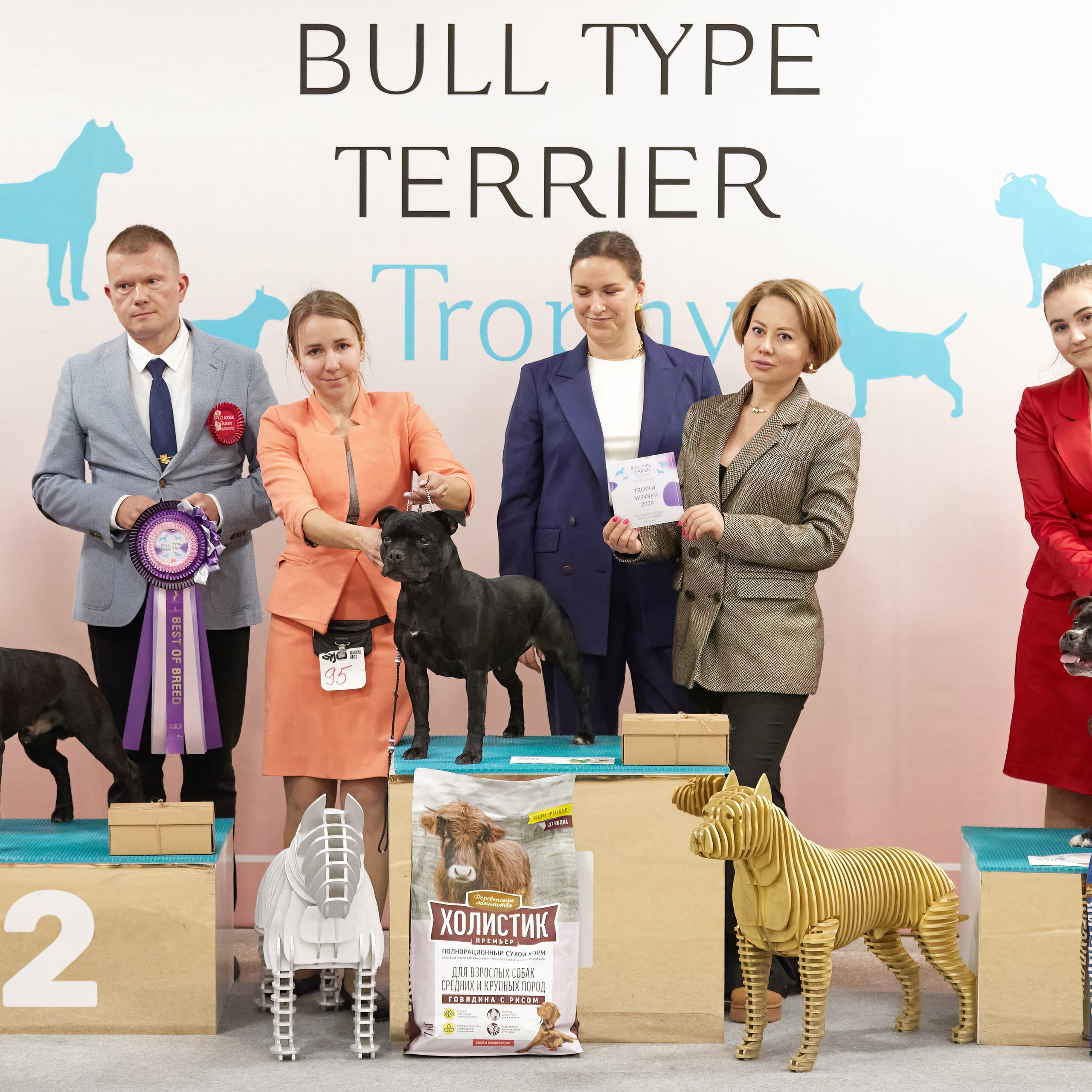 10-11.02.2024 ВЫСТАВКА СОБАК ВСЕХ ПОРОД (САС, ЧФ). Кинологический клуб РКФ РФСС СЕНСАЦИЯ