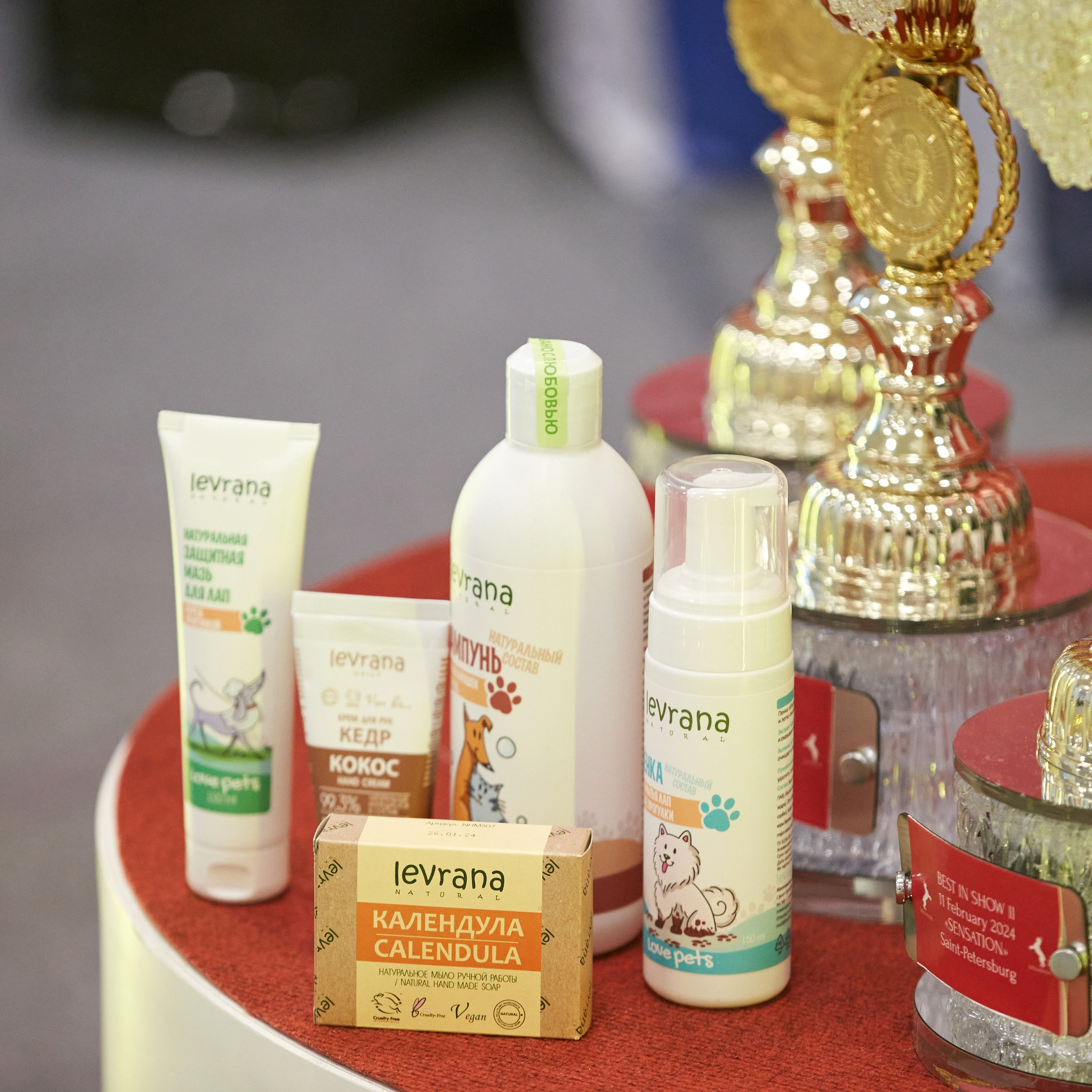 10-11.02.2024 ВЫСТАВКА СОБАК ВСЕХ ПОРОД (САС, ЧФ). Кинологический клуб РКФ РФСС СЕНСАЦИЯ