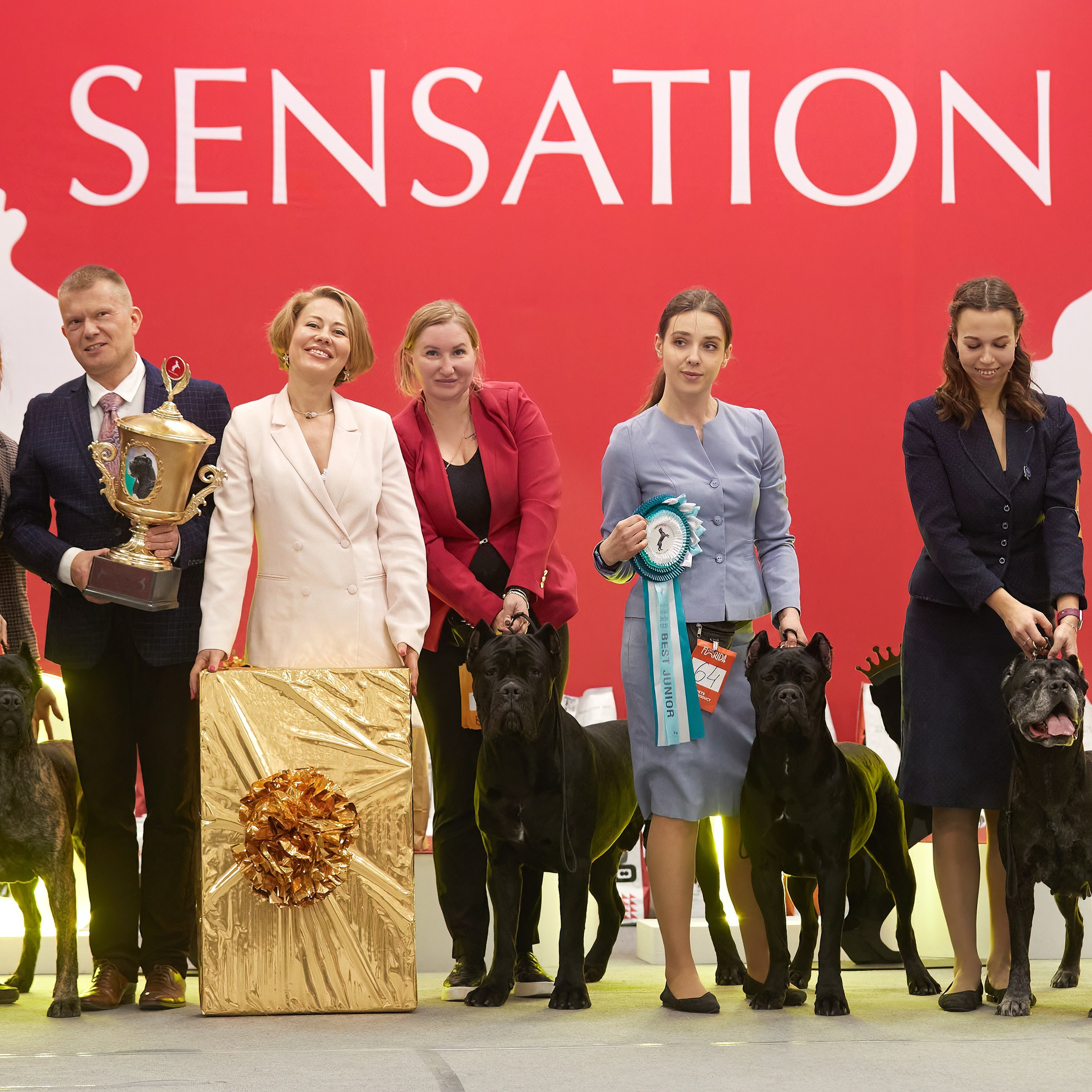 10-11.02.2024 ВЫСТАВКА СОБАК ВСЕХ ПОРОД (САС, ЧФ). Кинологический клуб РКФ РФСС СЕНСАЦИЯ