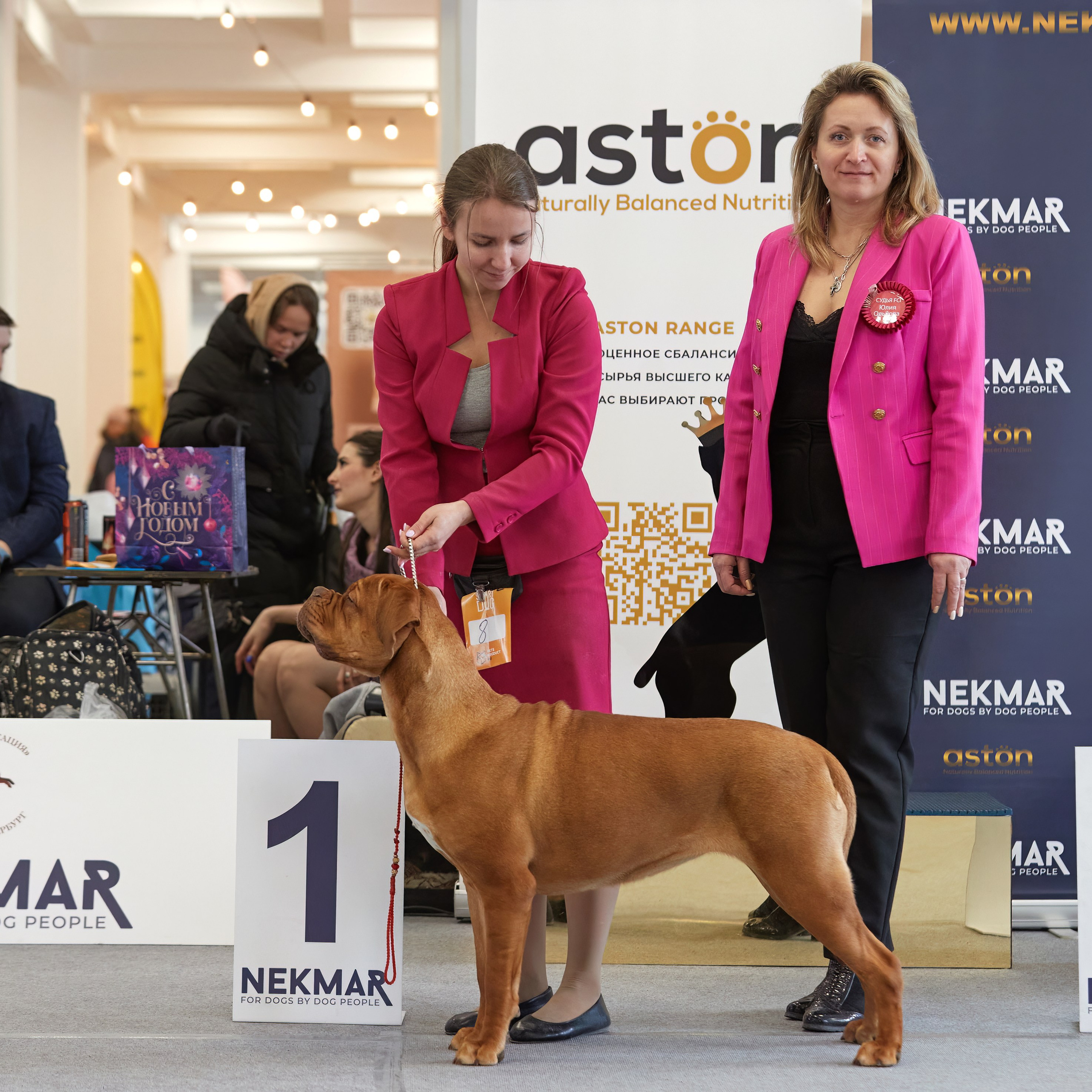 10-11.02.2024 ВЫСТАВКА СОБАК ВСЕХ ПОРОД (САС, ЧФ). Кинологический клуб РКФ РФСС СЕНСАЦИЯ