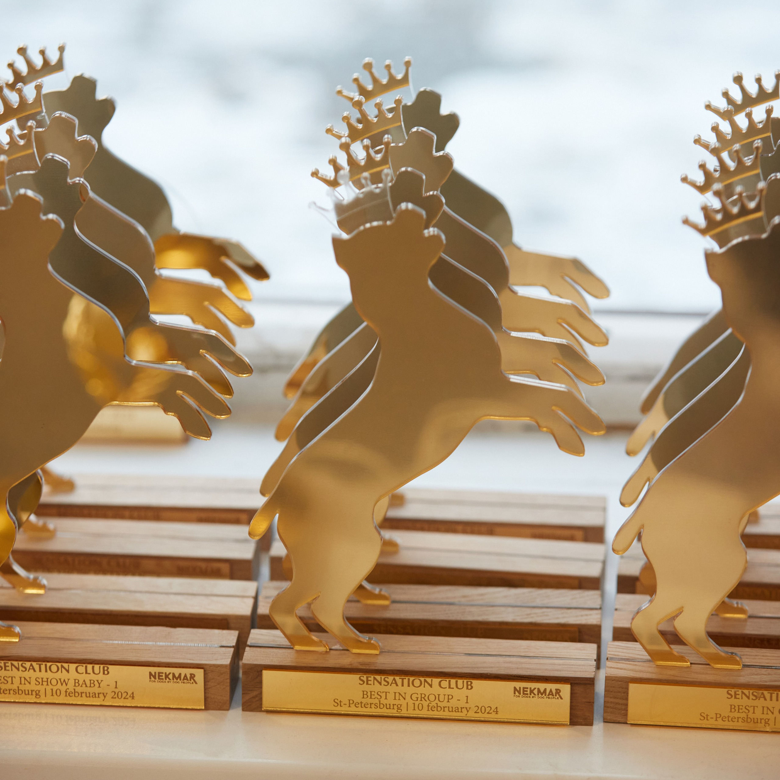 10-11.02.2024 ВЫСТАВКА СОБАК ВСЕХ ПОРОД (САС, ЧФ). Кинологический клуб РКФ РФСС СЕНСАЦИЯ