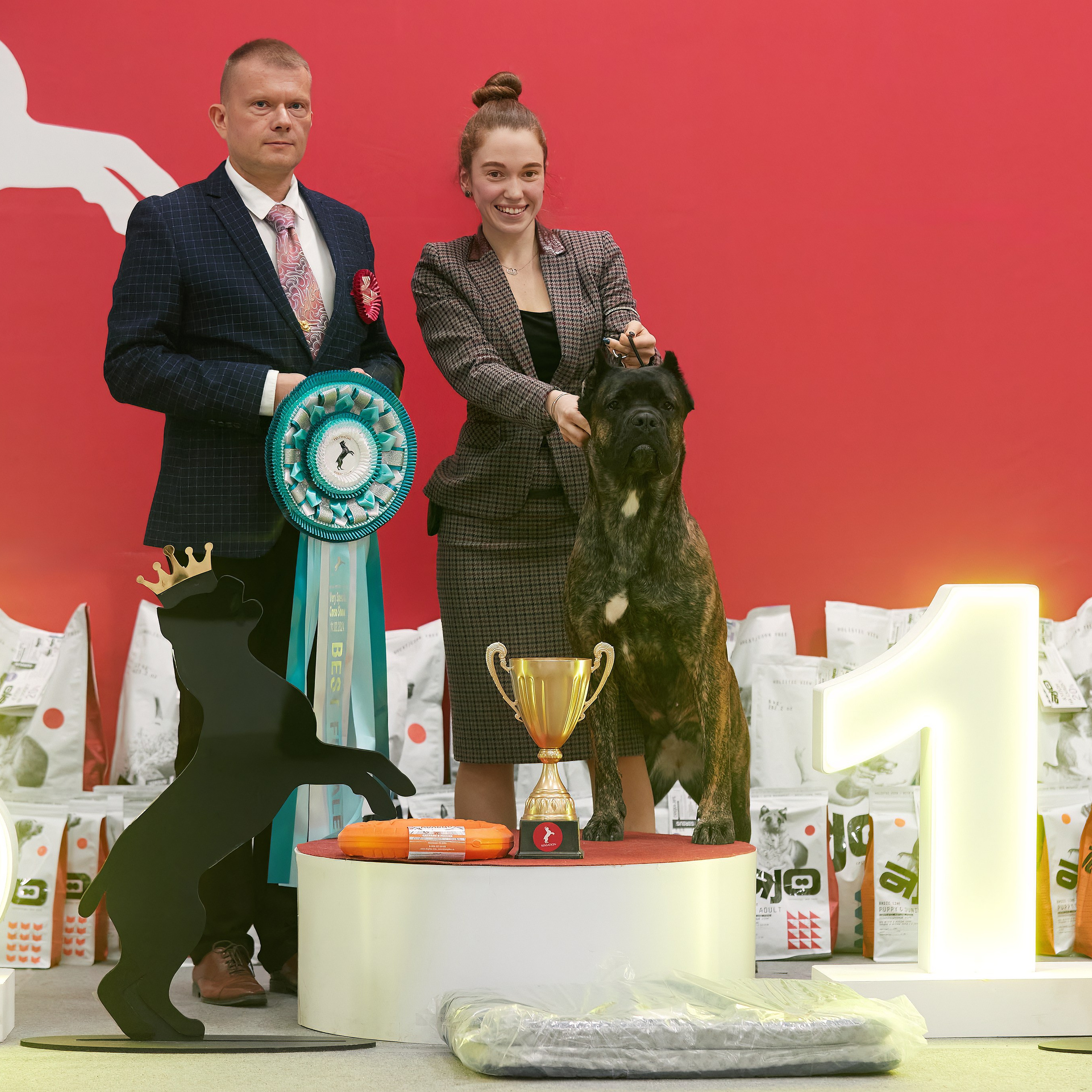 10-11.02.2024 ВЫСТАВКА СОБАК ВСЕХ ПОРОД (САС, ЧФ). Кинологический клуб РКФ РФСС СЕНСАЦИЯ