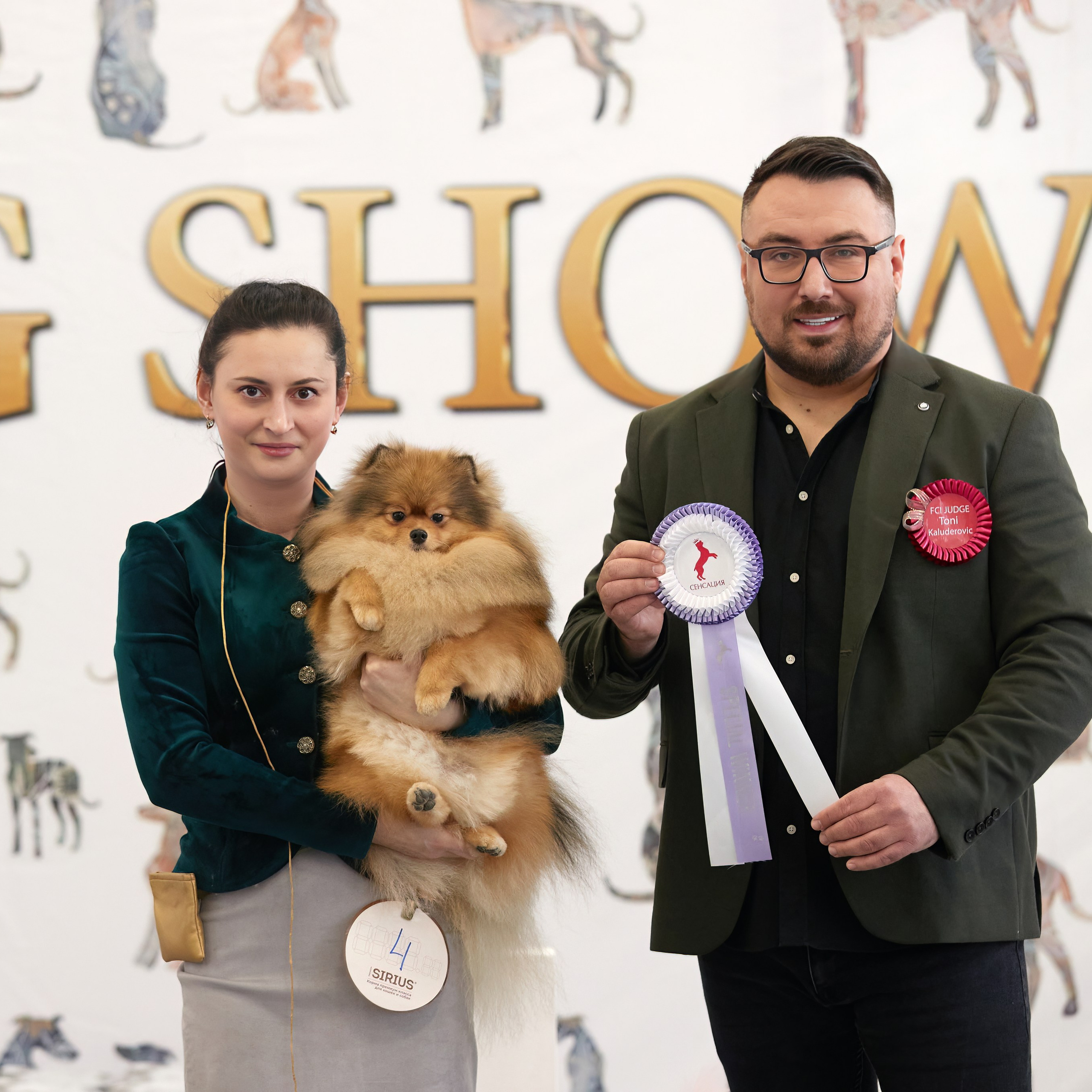 10-11.02.2024 ВЫСТАВКА СОБАК ВСЕХ ПОРОД (САС, ЧФ). Кинологический клуб РКФ РФСС СЕНСАЦИЯ