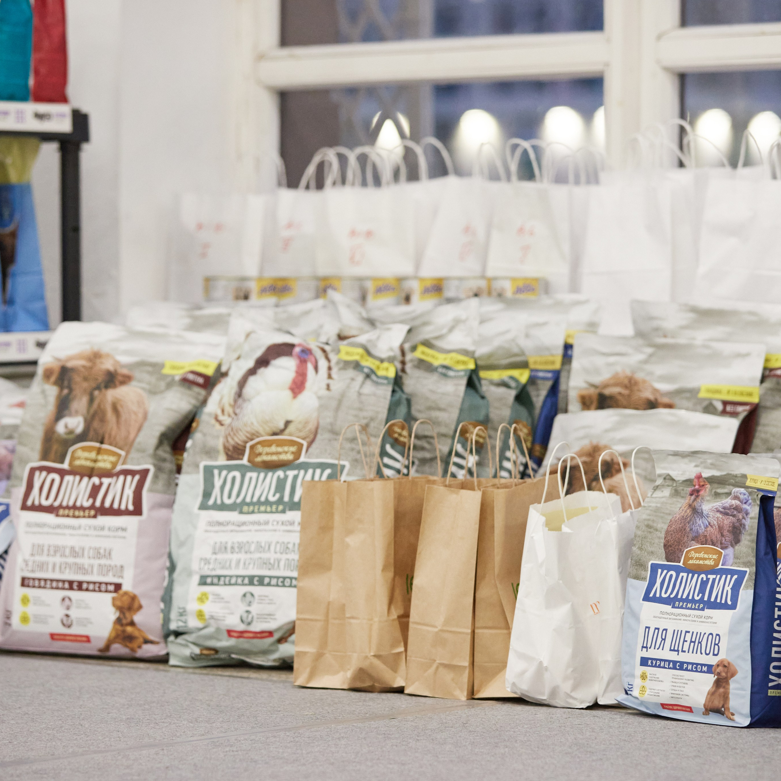 10-11.02.2024 ВЫСТАВКА СОБАК ВСЕХ ПОРОД (САС, ЧФ). Кинологический клуб РКФ РФСС СЕНСАЦИЯ